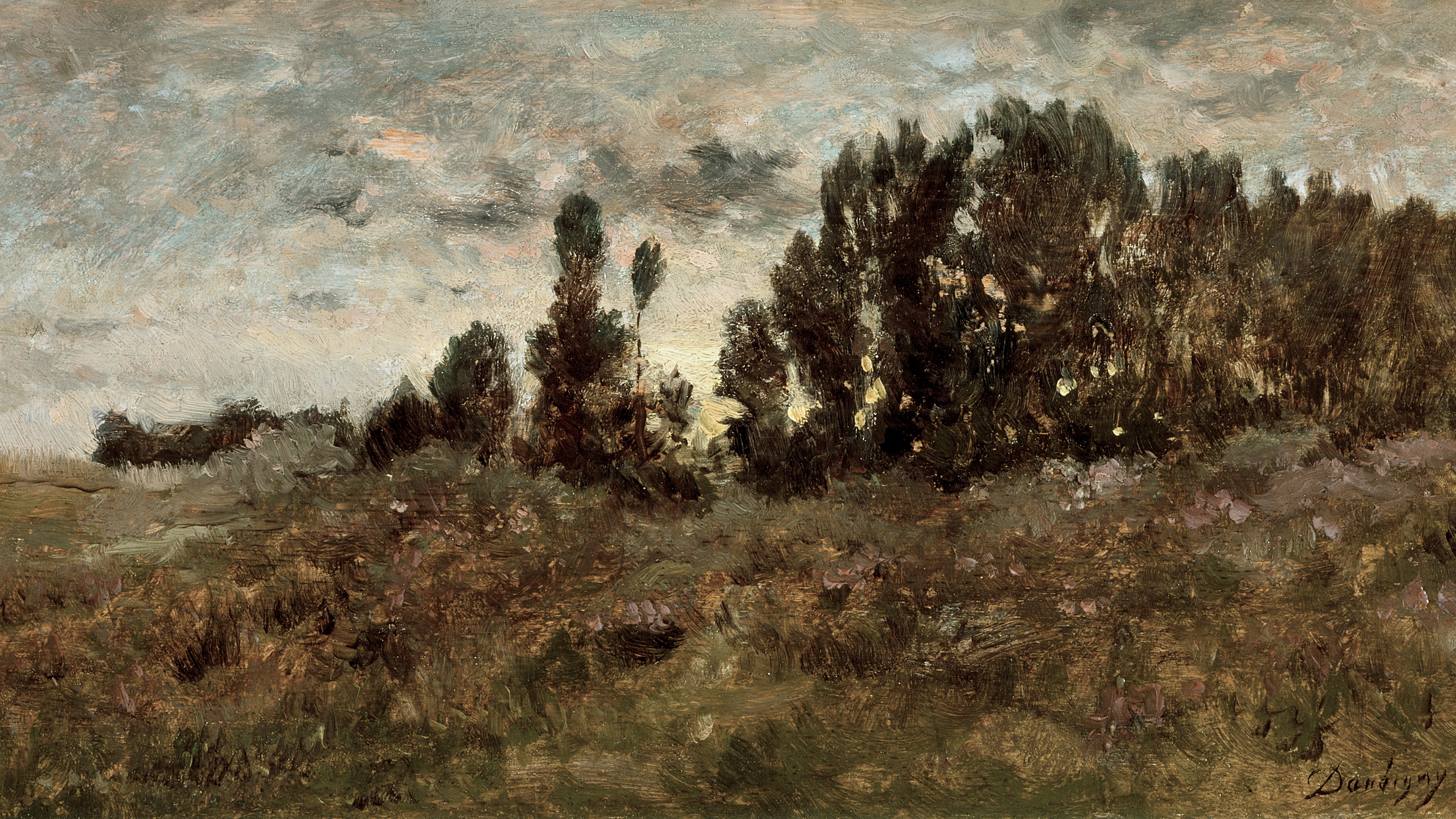 Dusk Over Heather