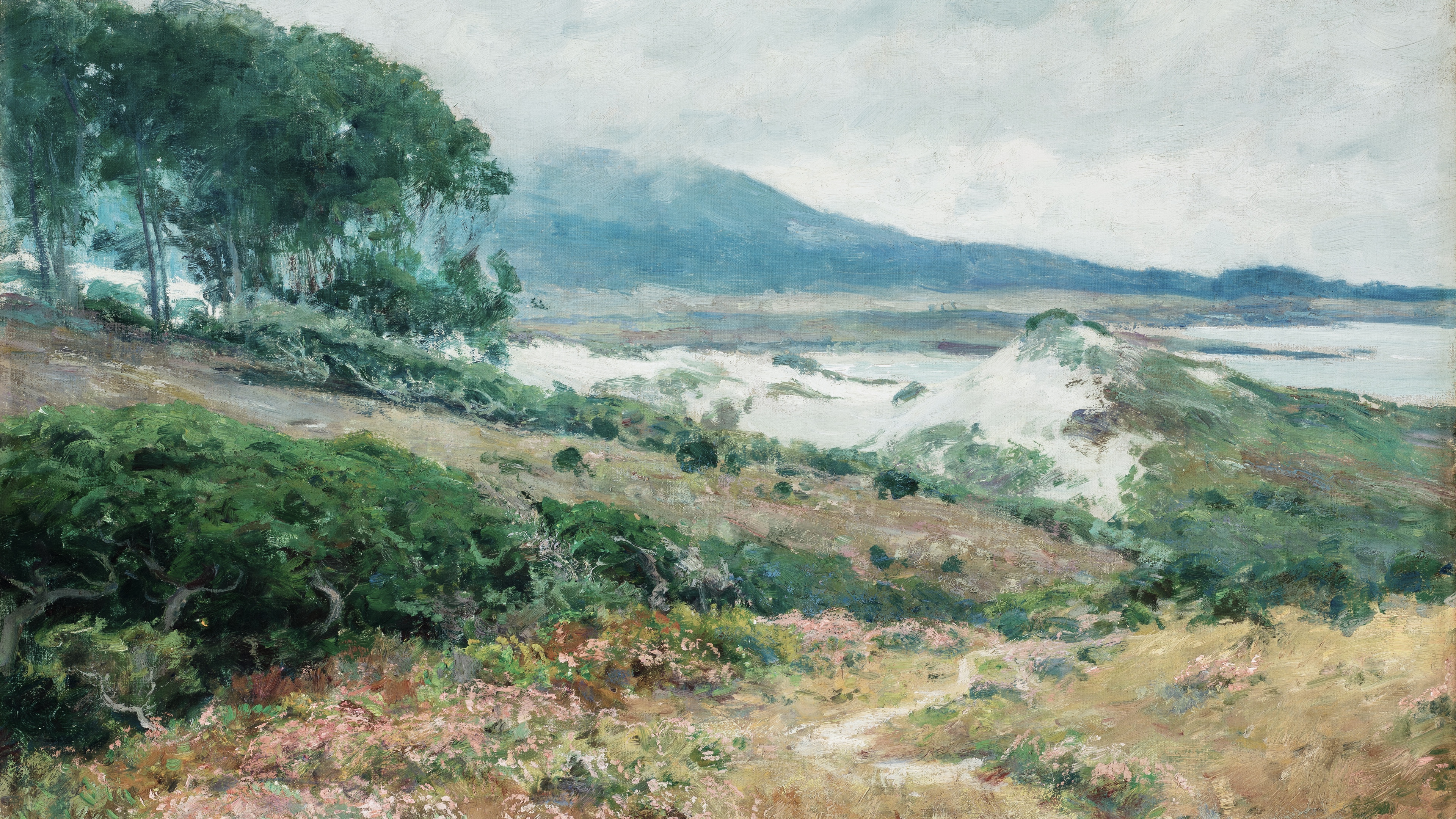 Mist Over Dunes