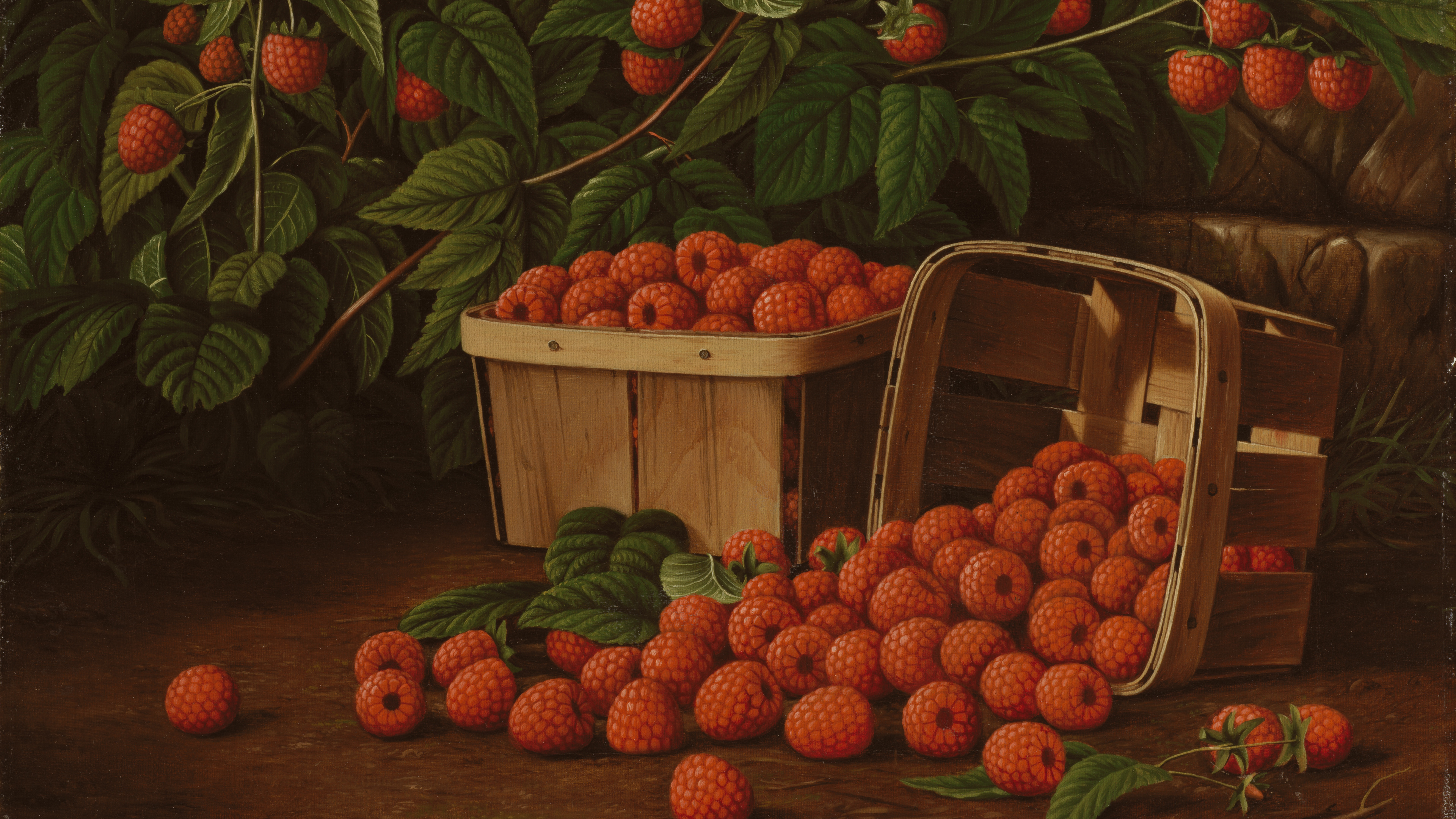 Summer Crimson Harvest