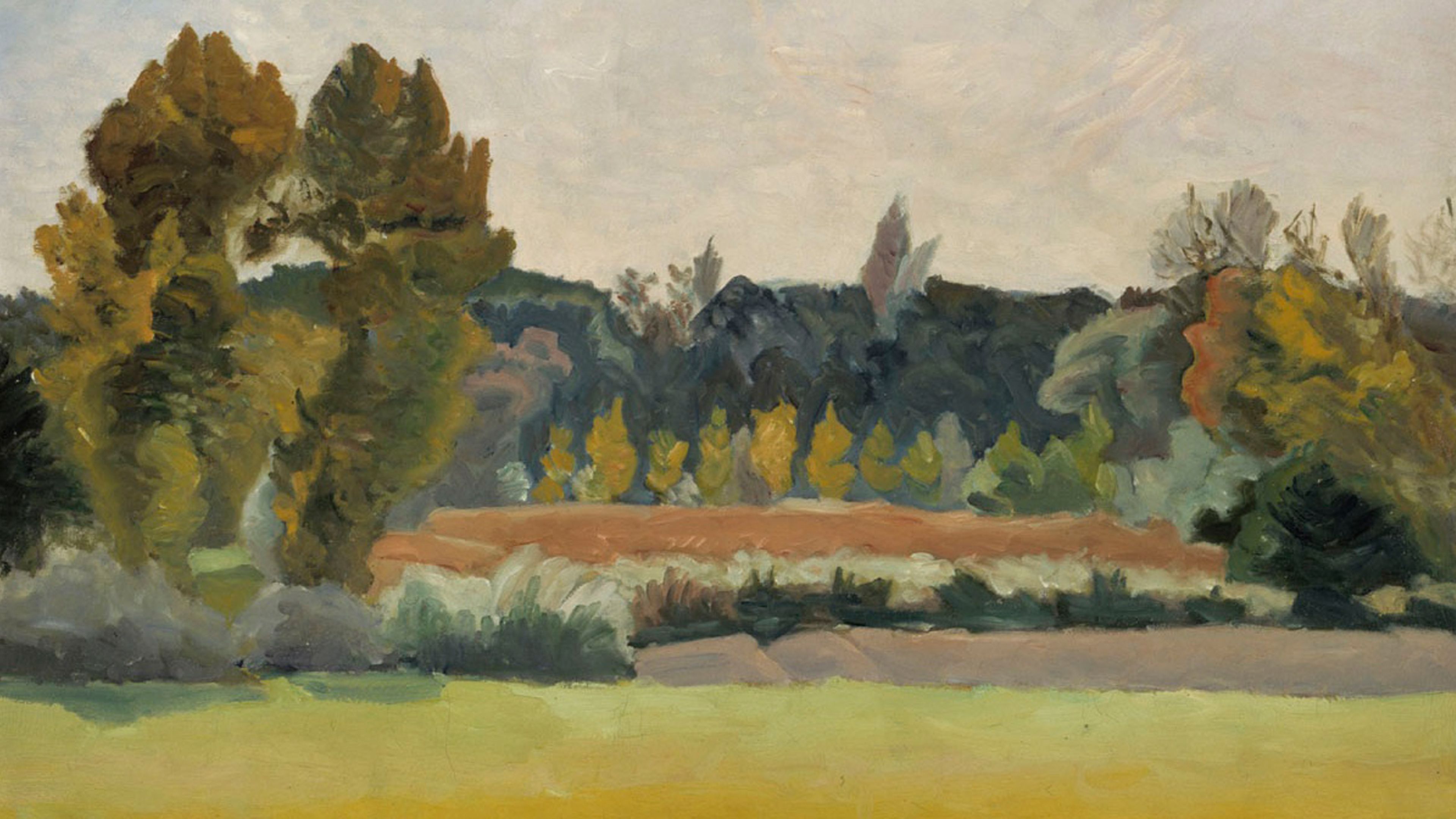 Ochre Field Horizon