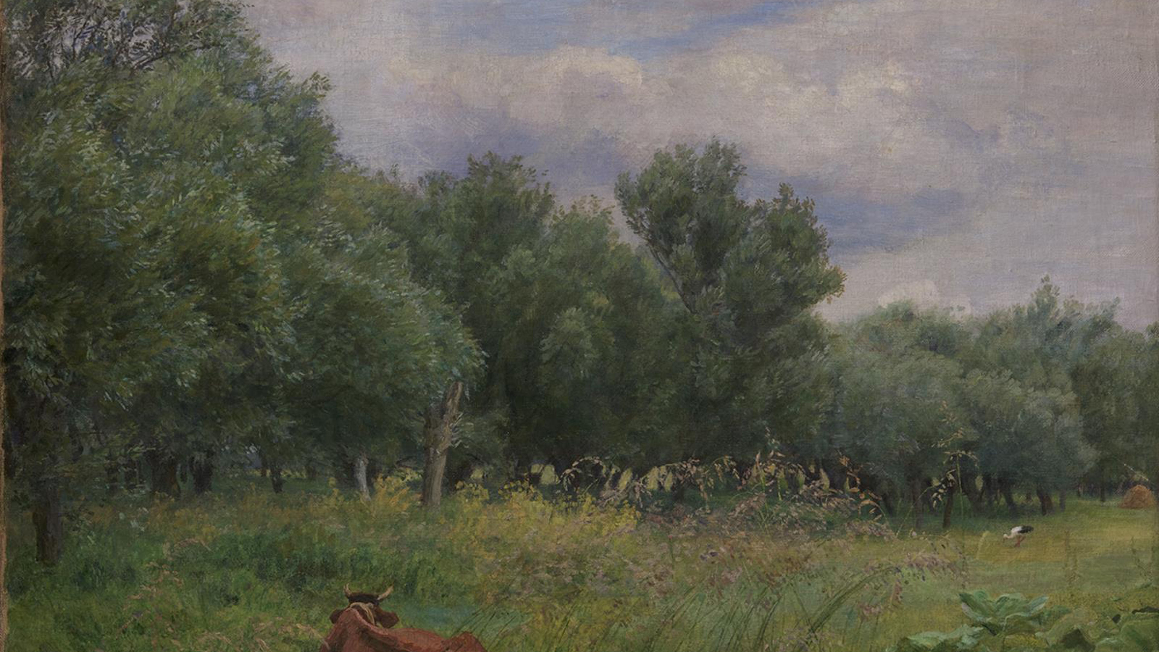 Overcast Willow Meadow