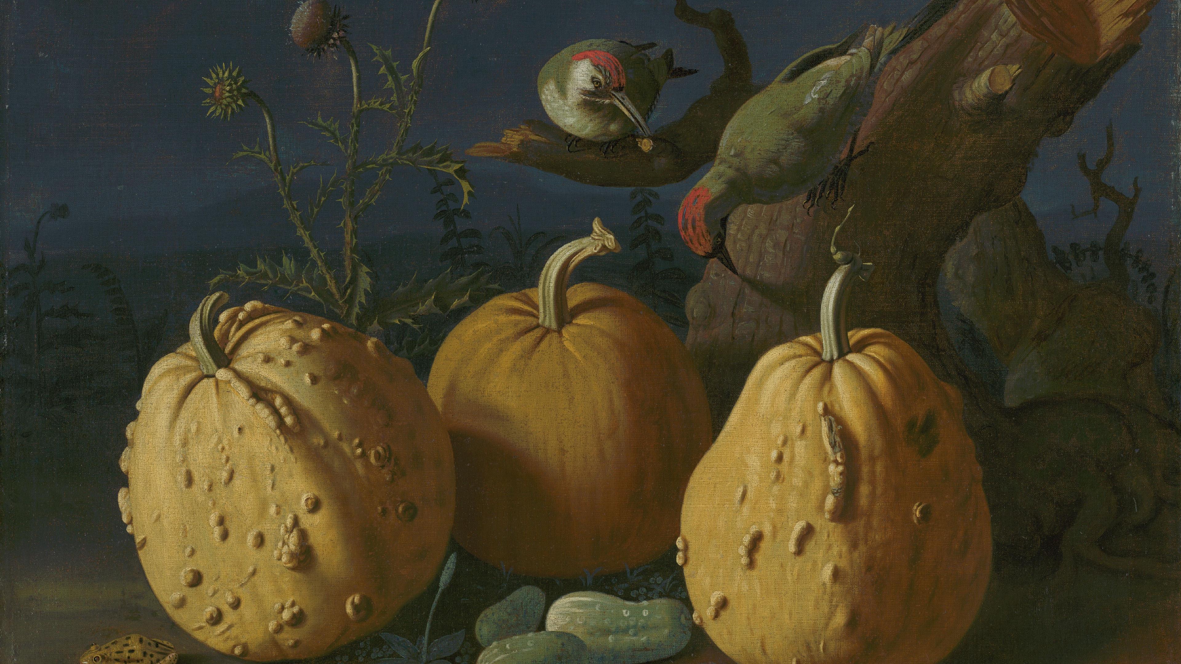 Twilight Harvest Study