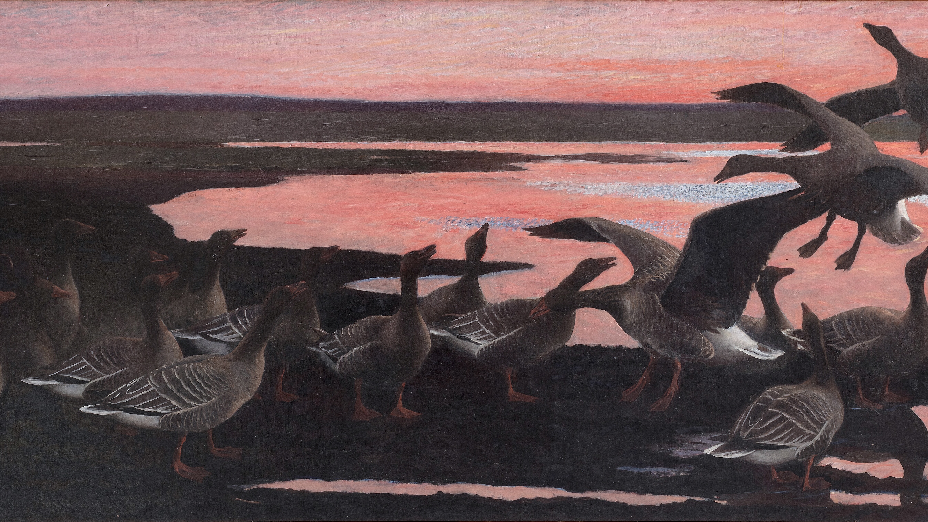 Twilight Marsh Flight