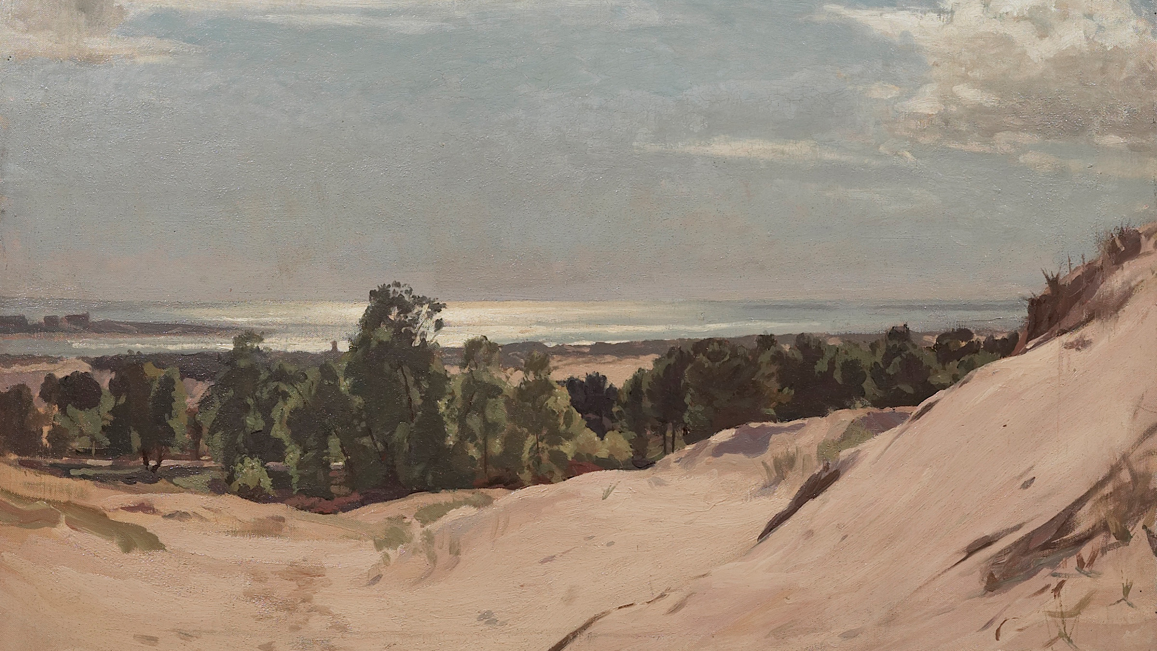Coastal Dune Overlook