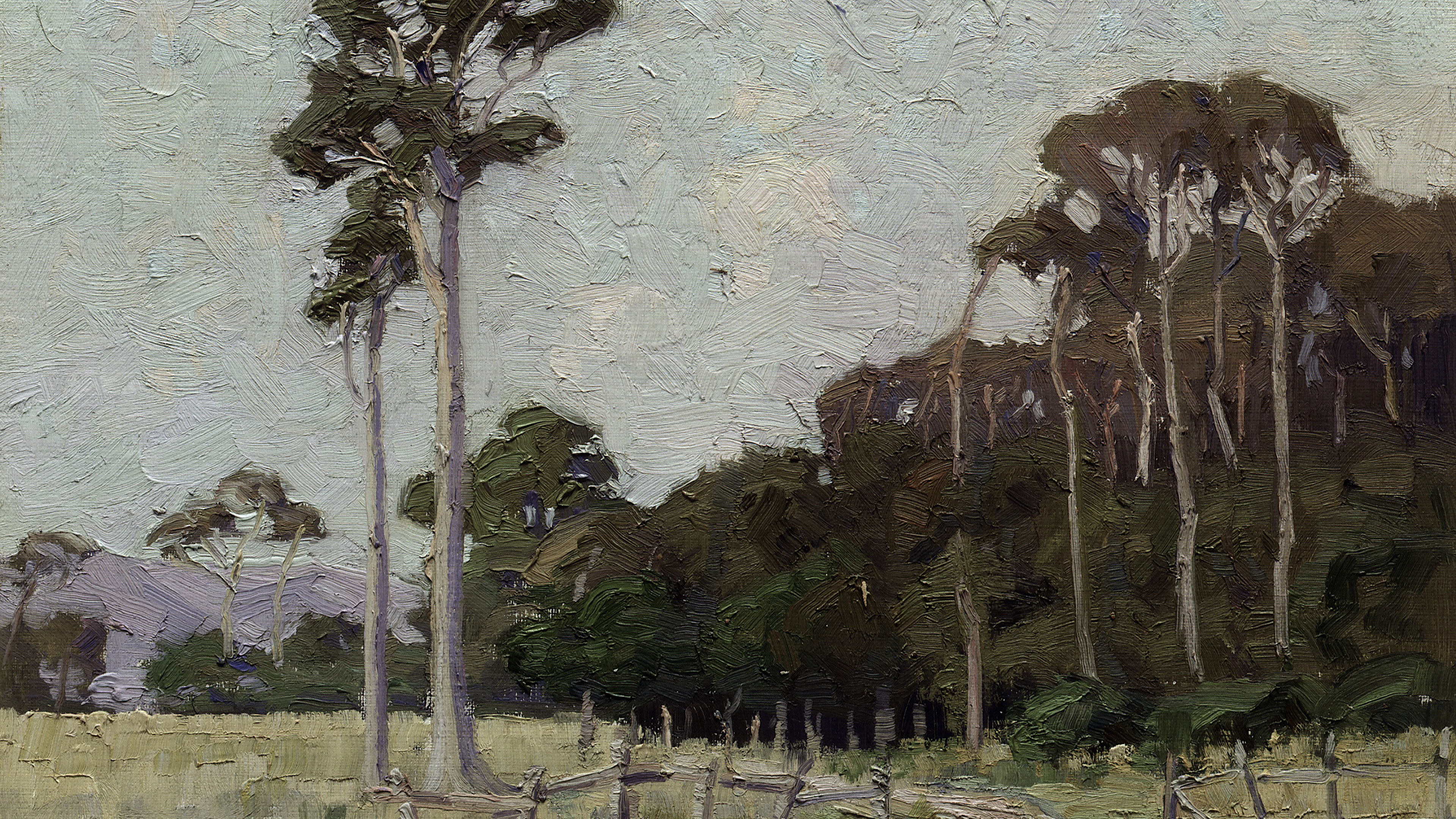 Eucalyptus Grove Horizon