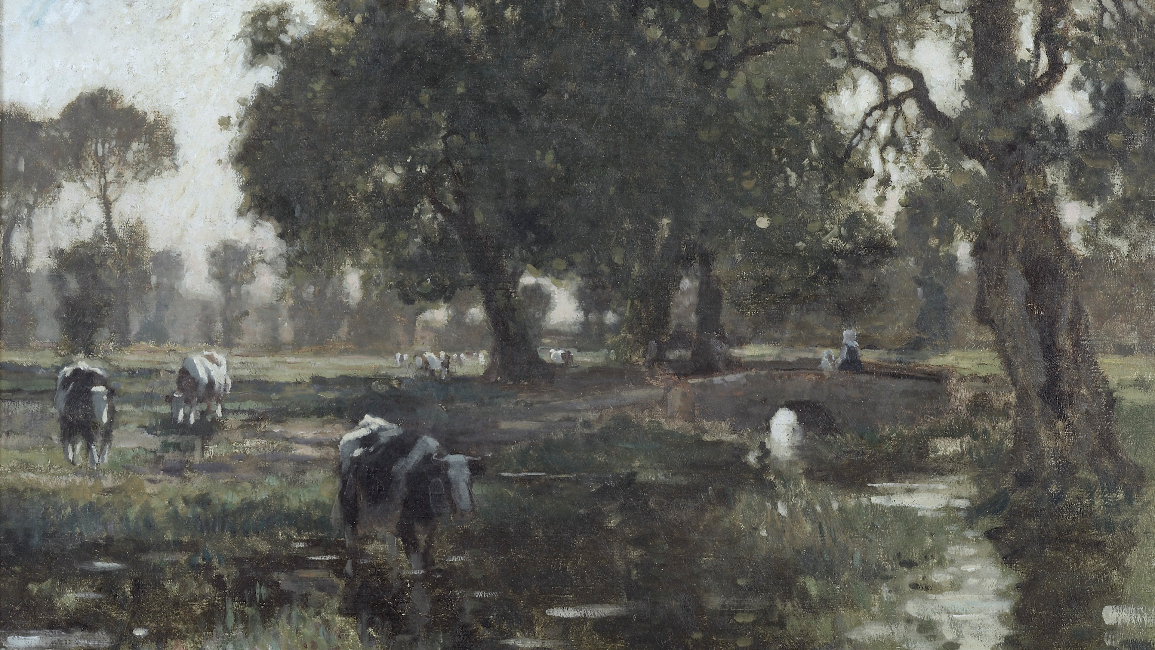 Shadowed Pasture Grove
