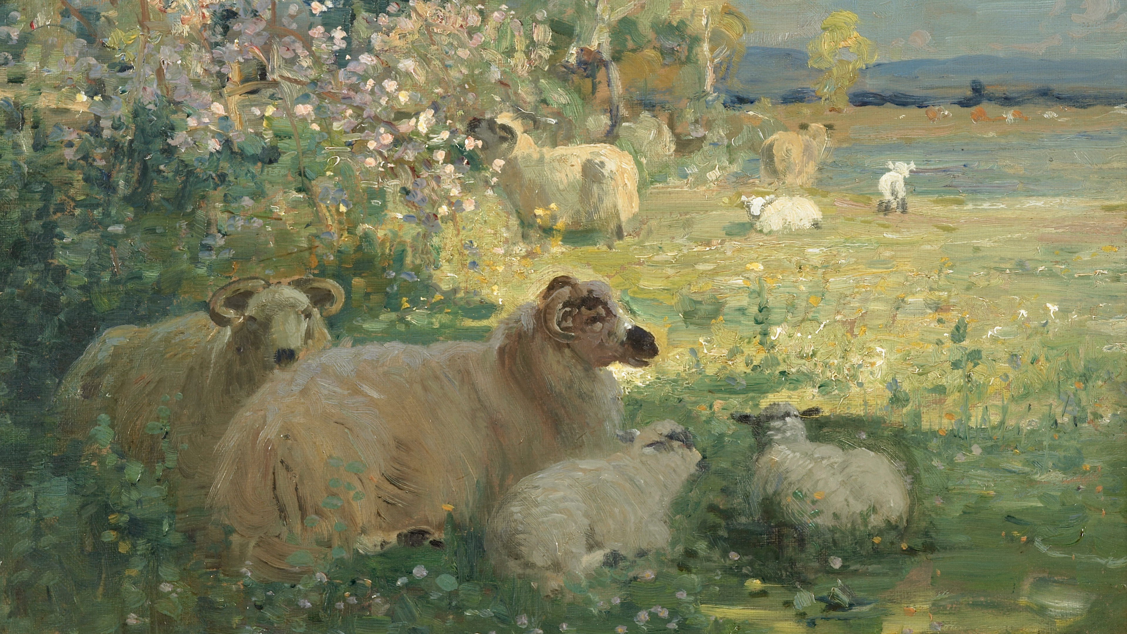 Sunlit Pastoral Haven
