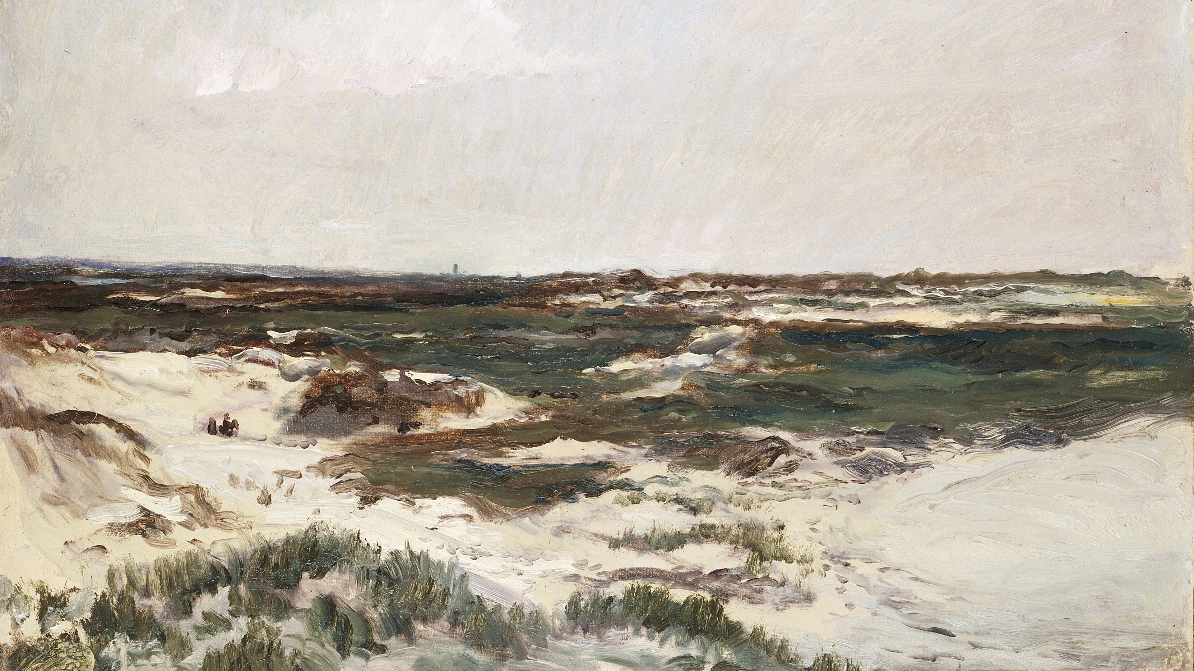 Windswept Coastal Dunes