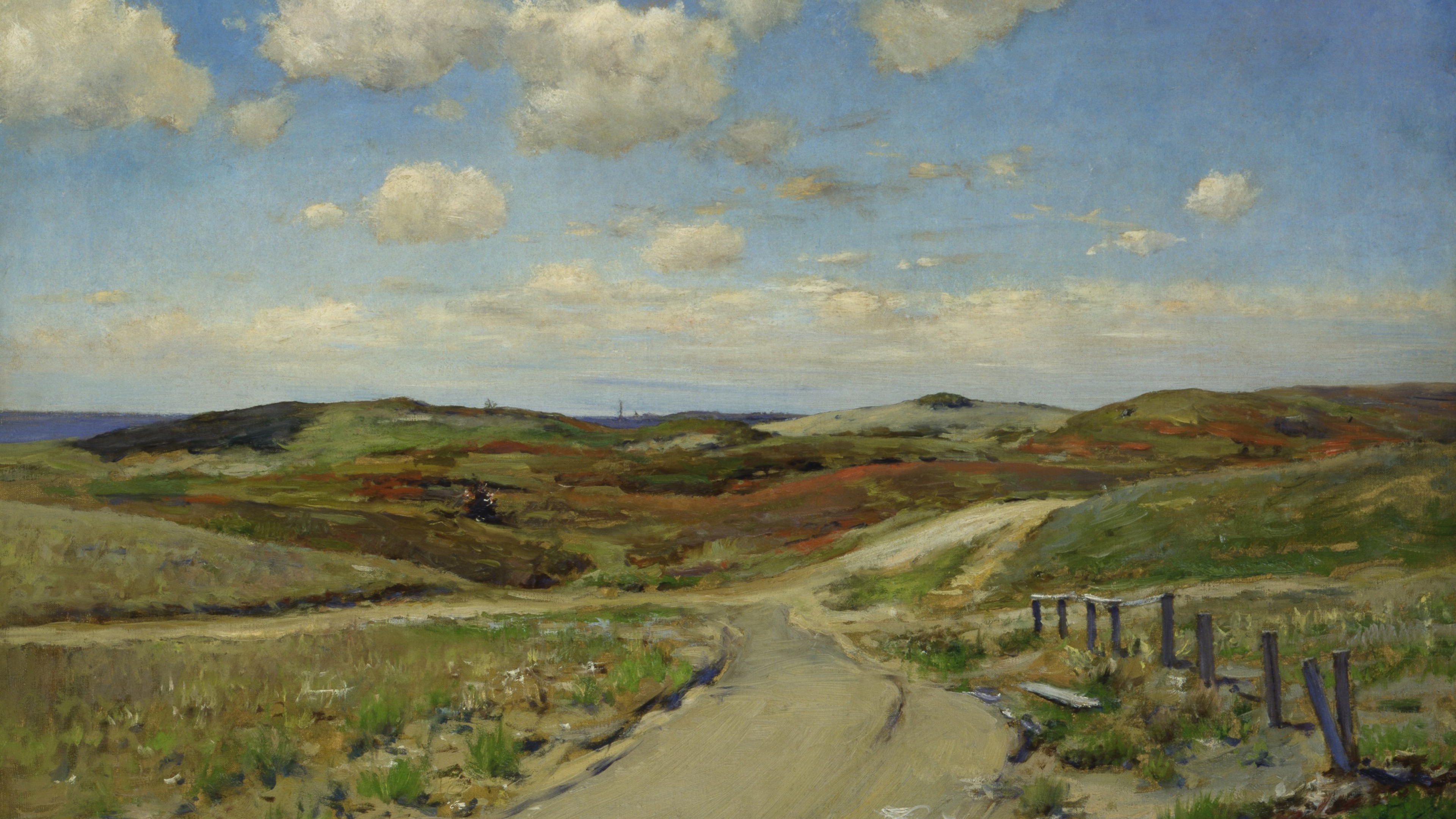 Windswept Heath Trail