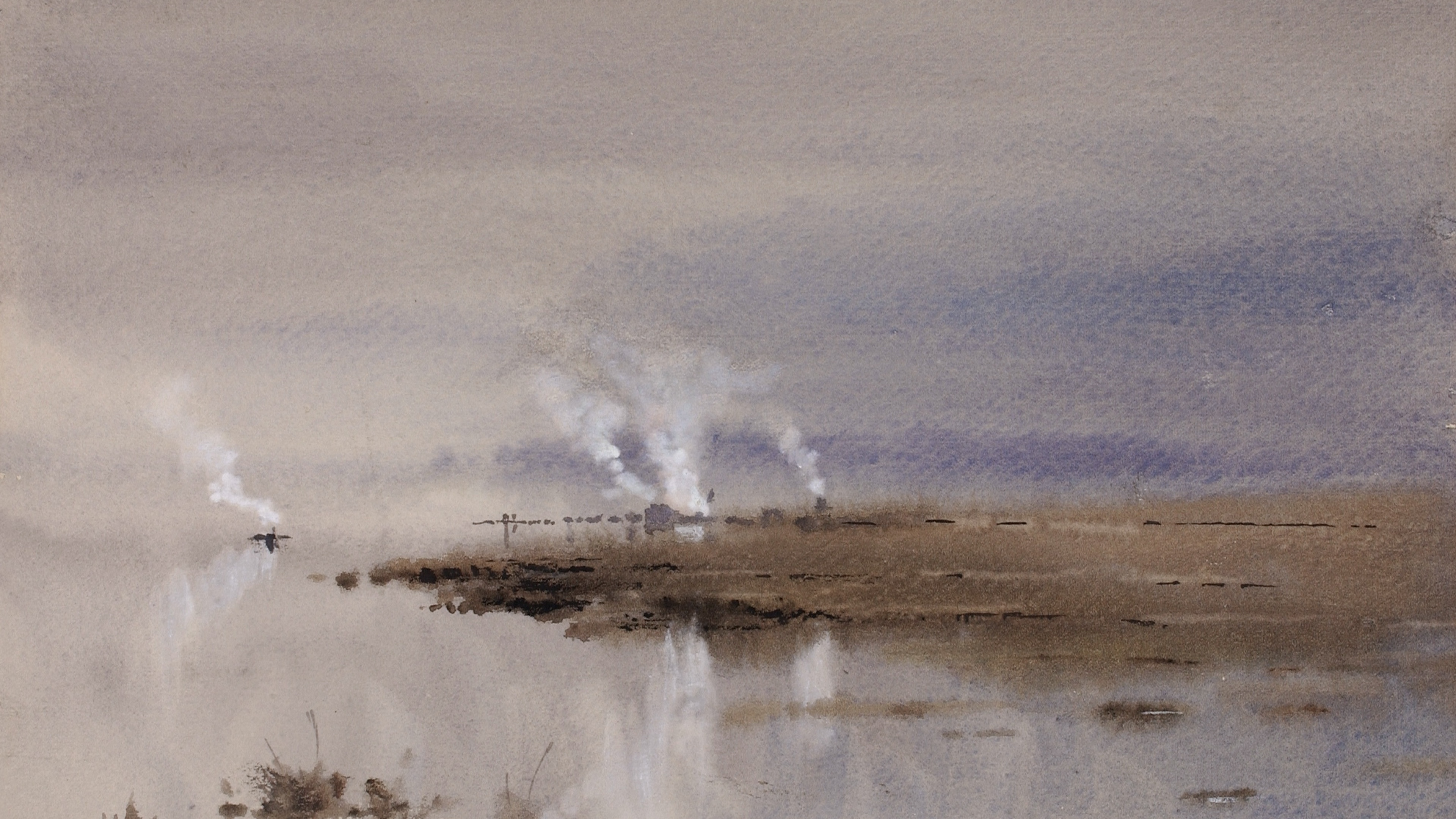 Solitary Lowland Mist