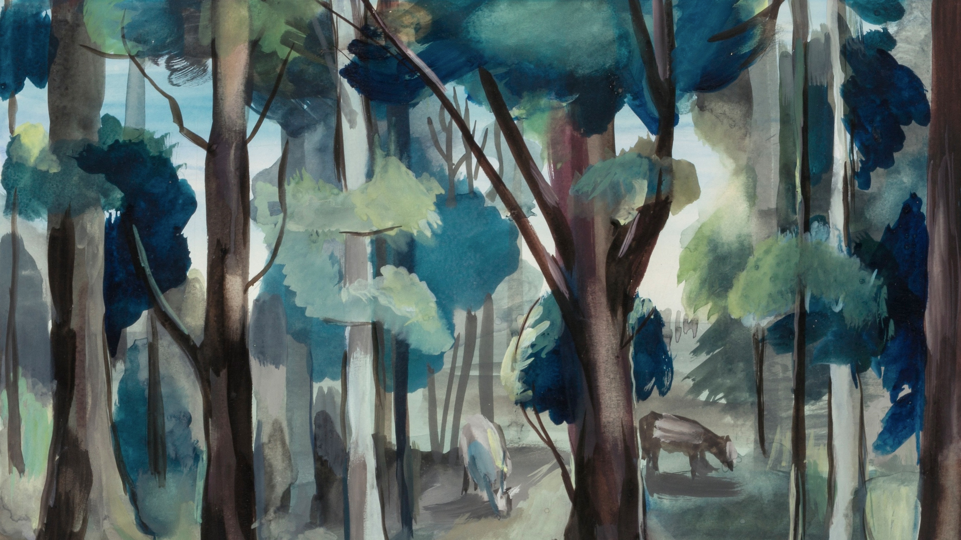 Cerulean Forest Sanctuary