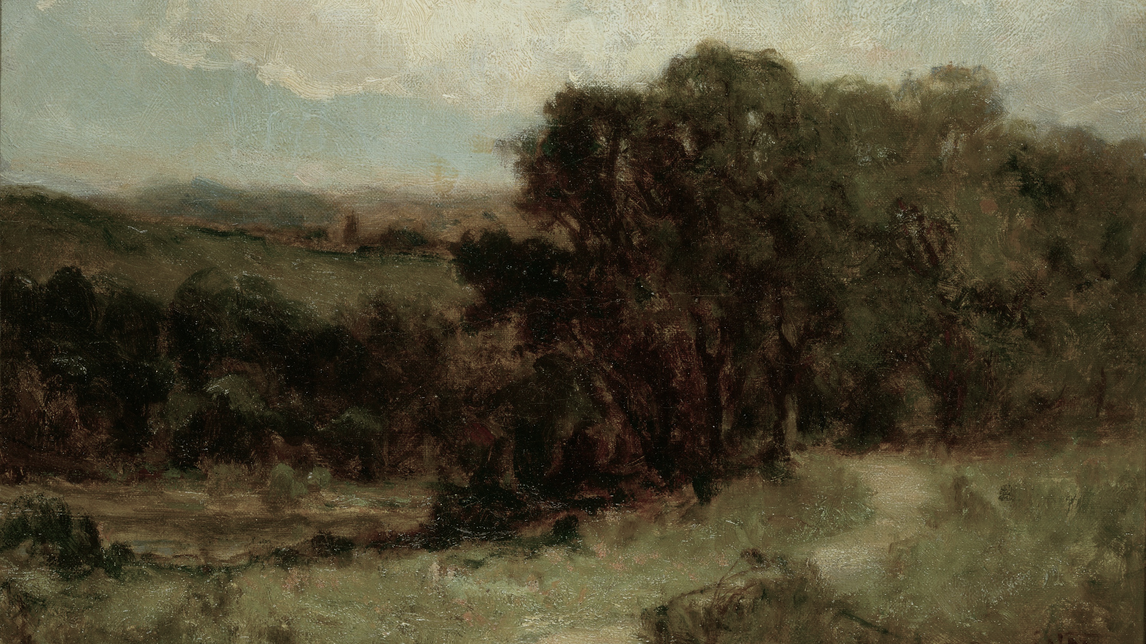 Shadowed Valley Path