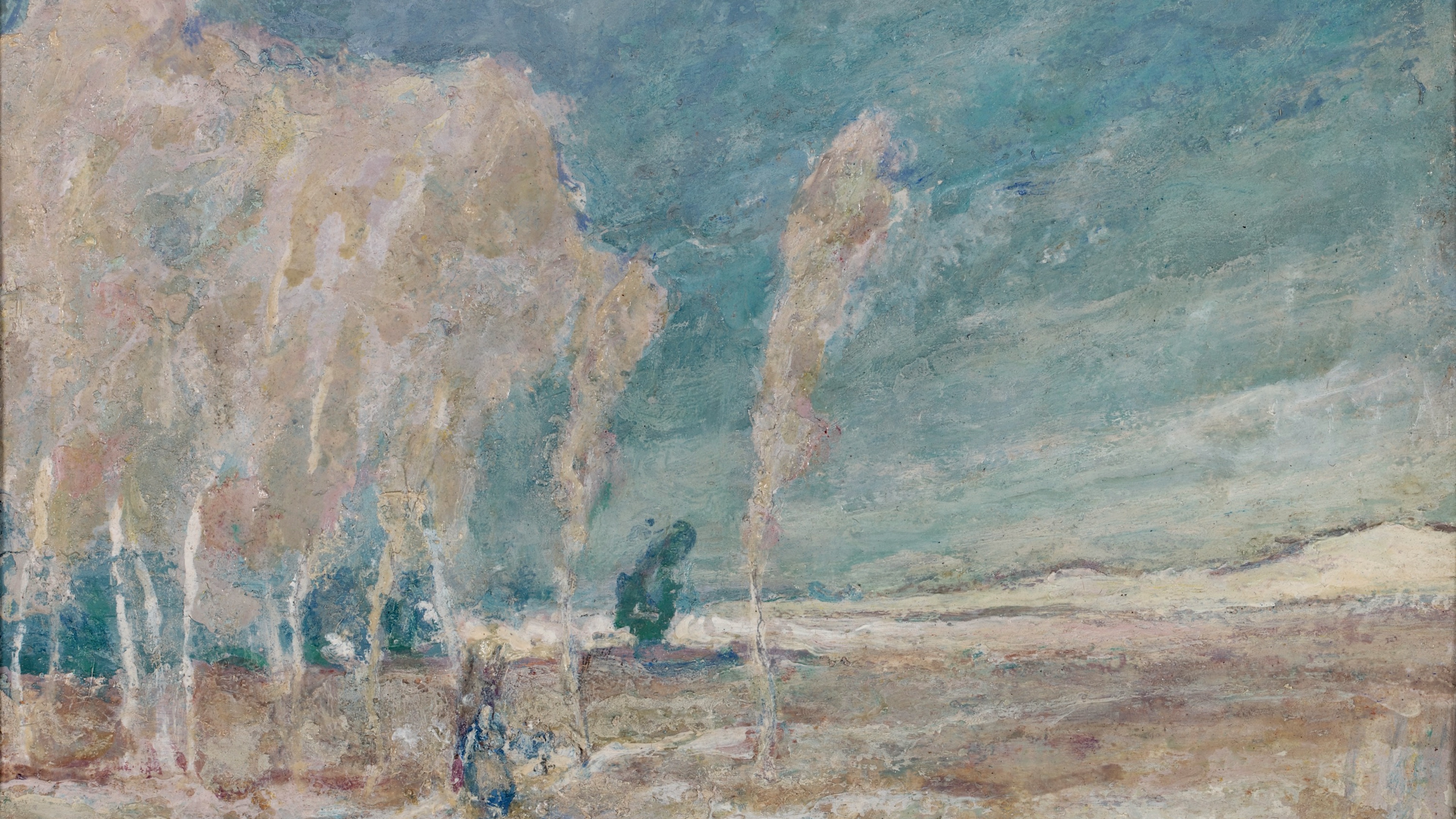 Silver Birch Dusk