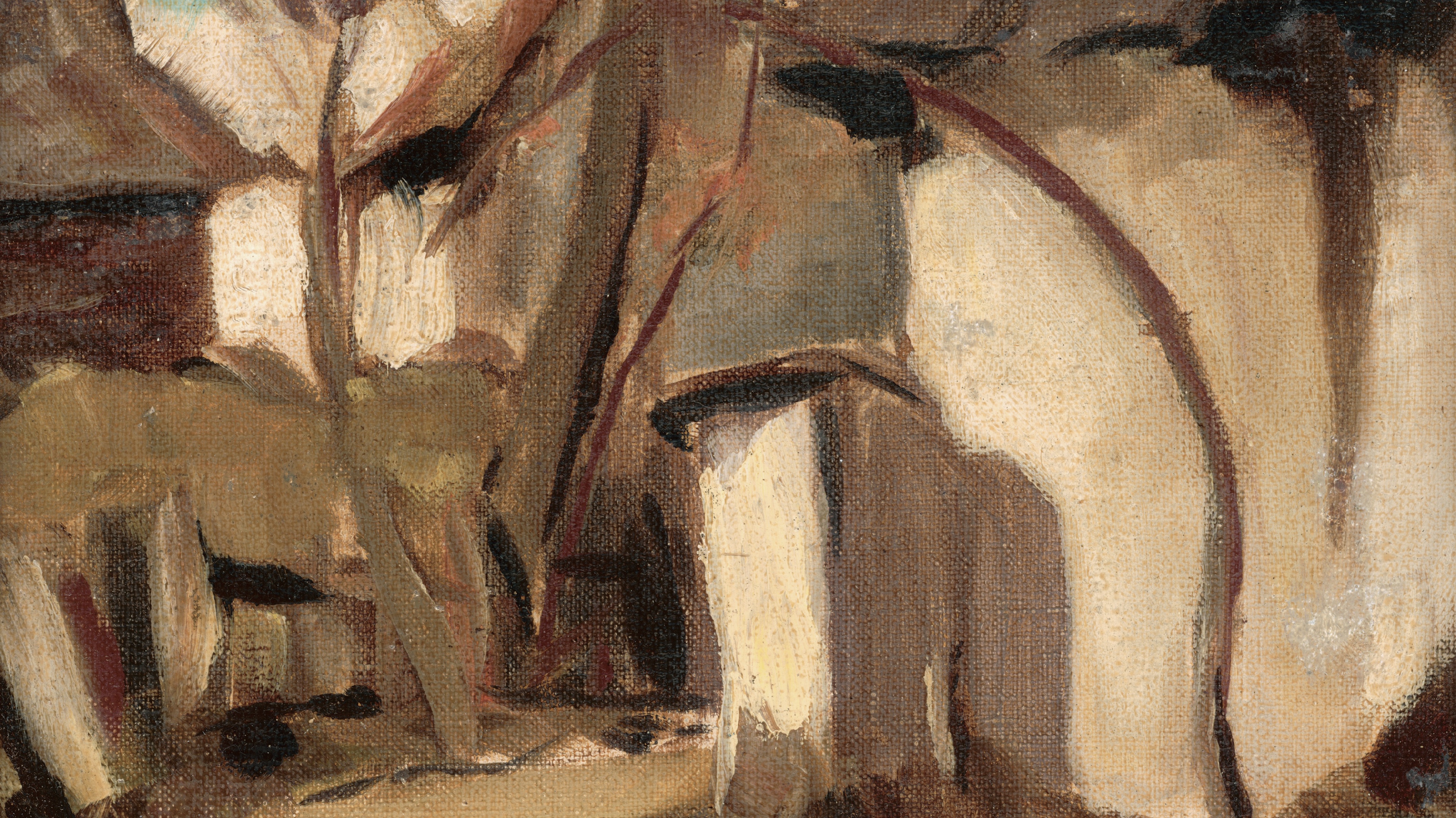 Shadowed Timber Grove