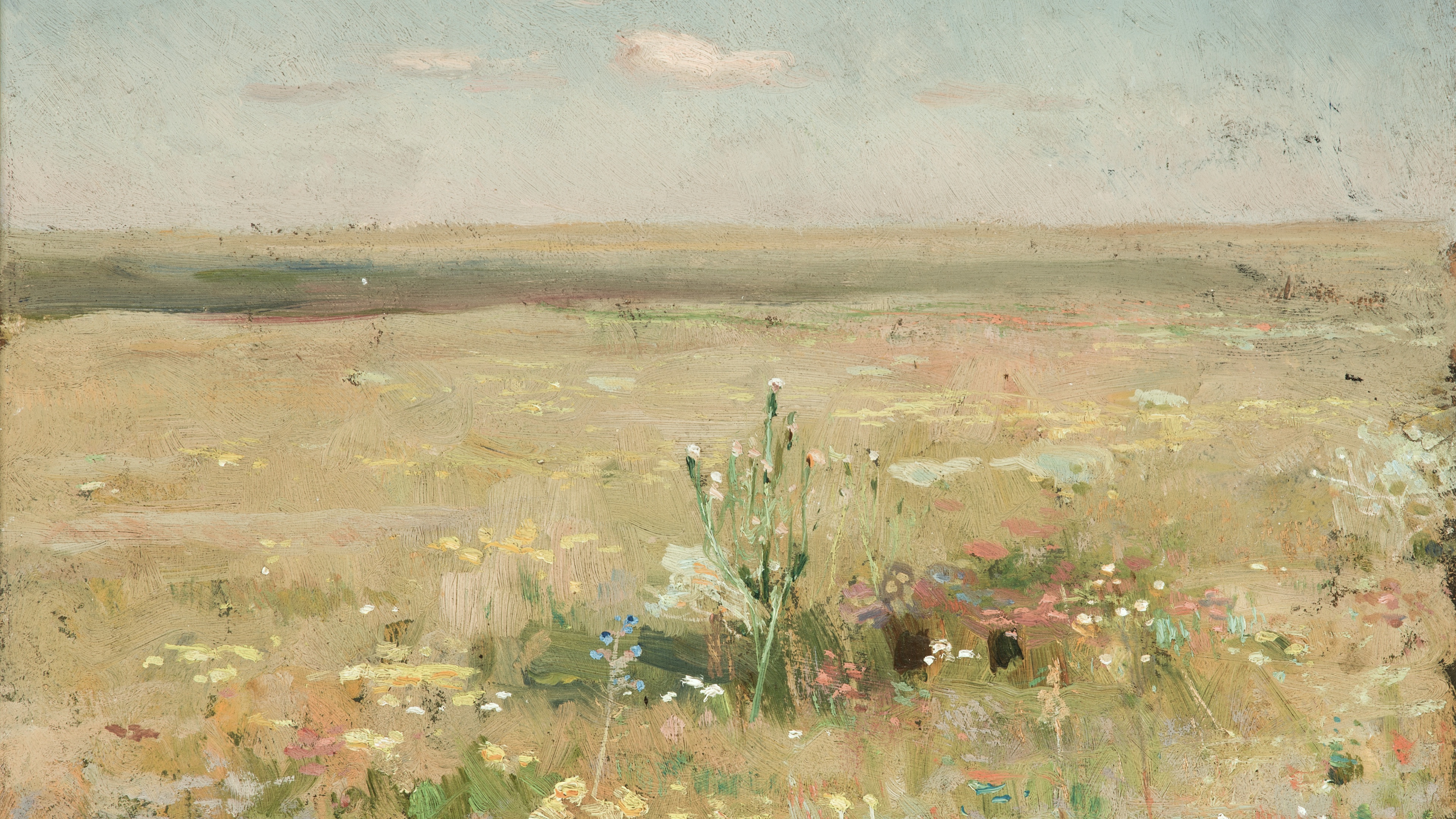 Sunbleached Meadow