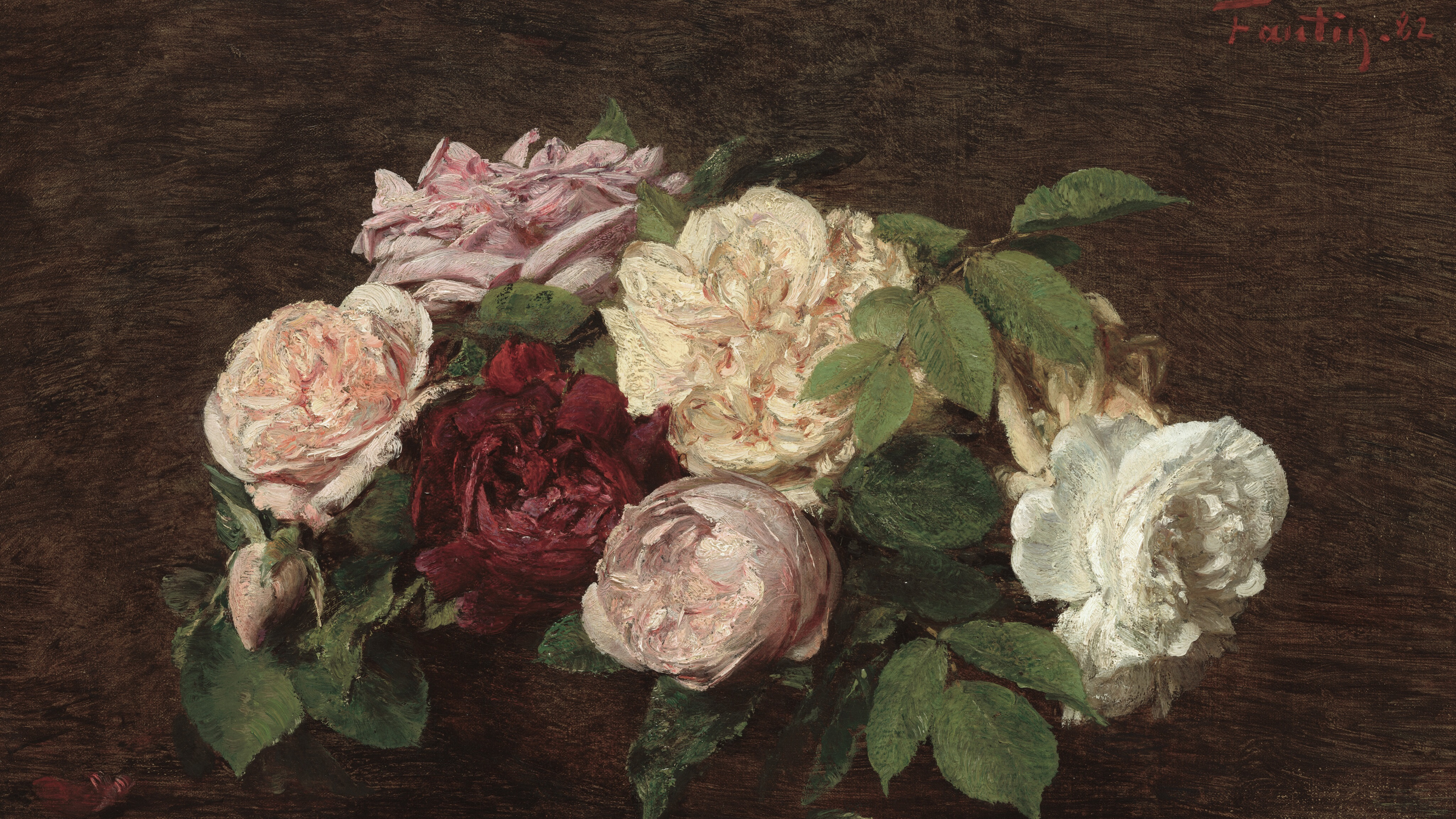 Velvet Rose Study
