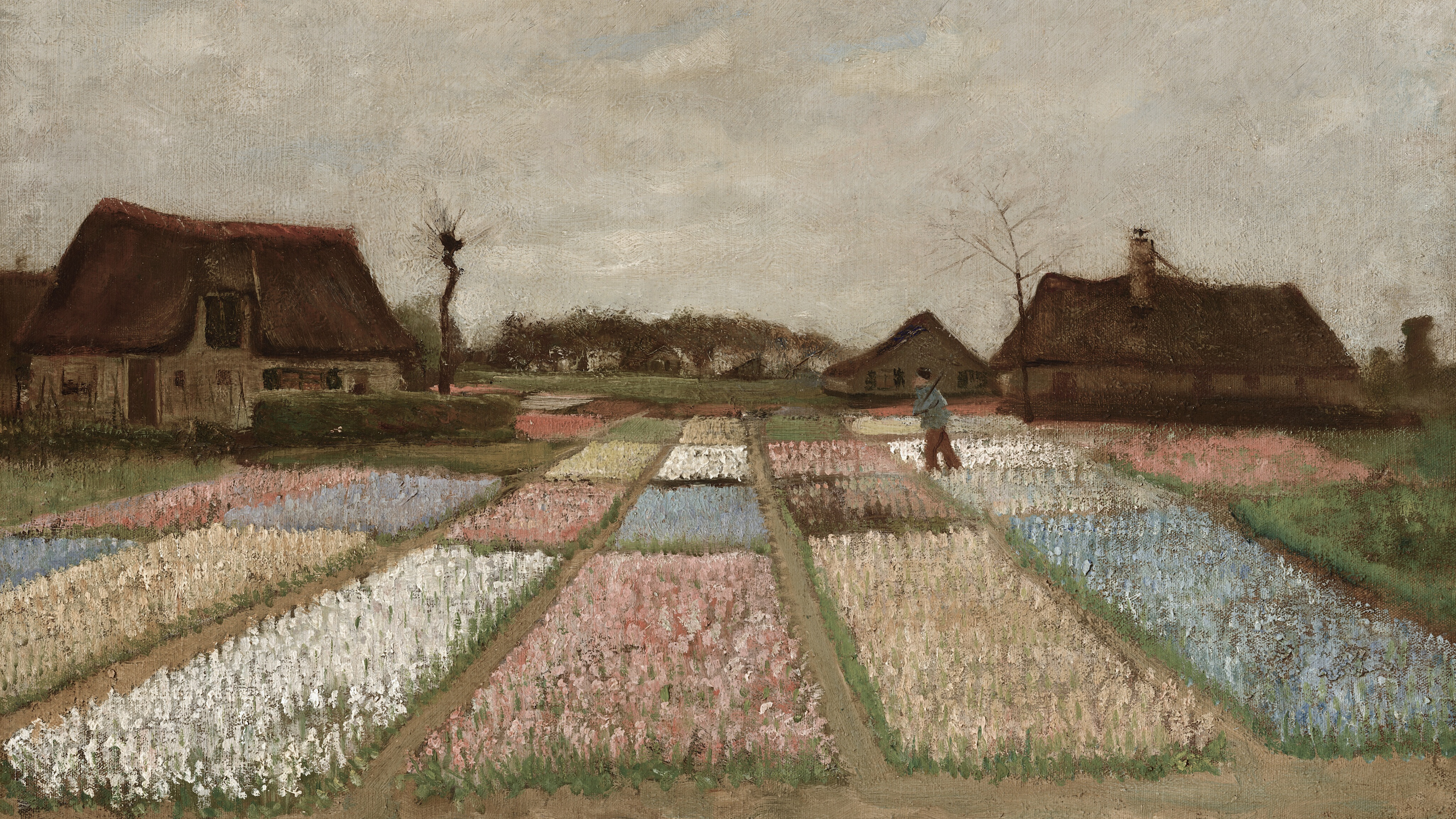 Distant Blossom Fields