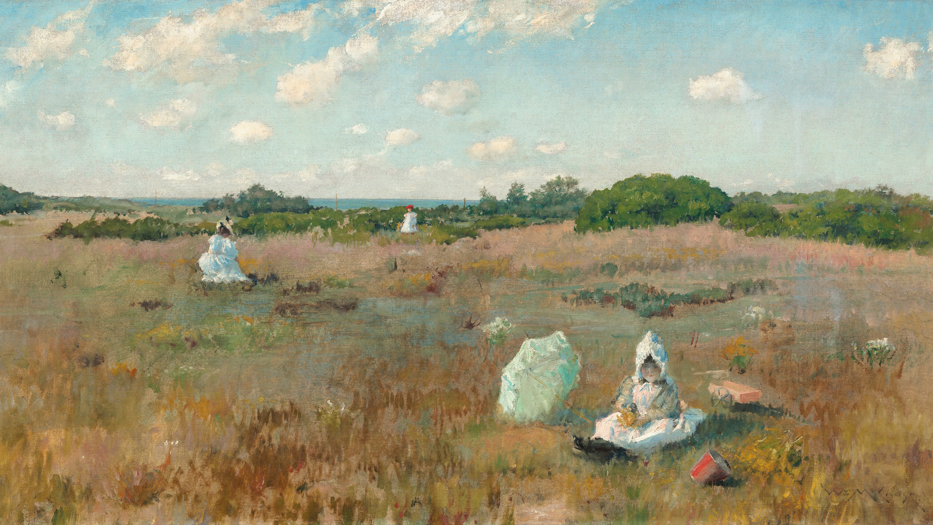 Coastal Grasses Afternoon