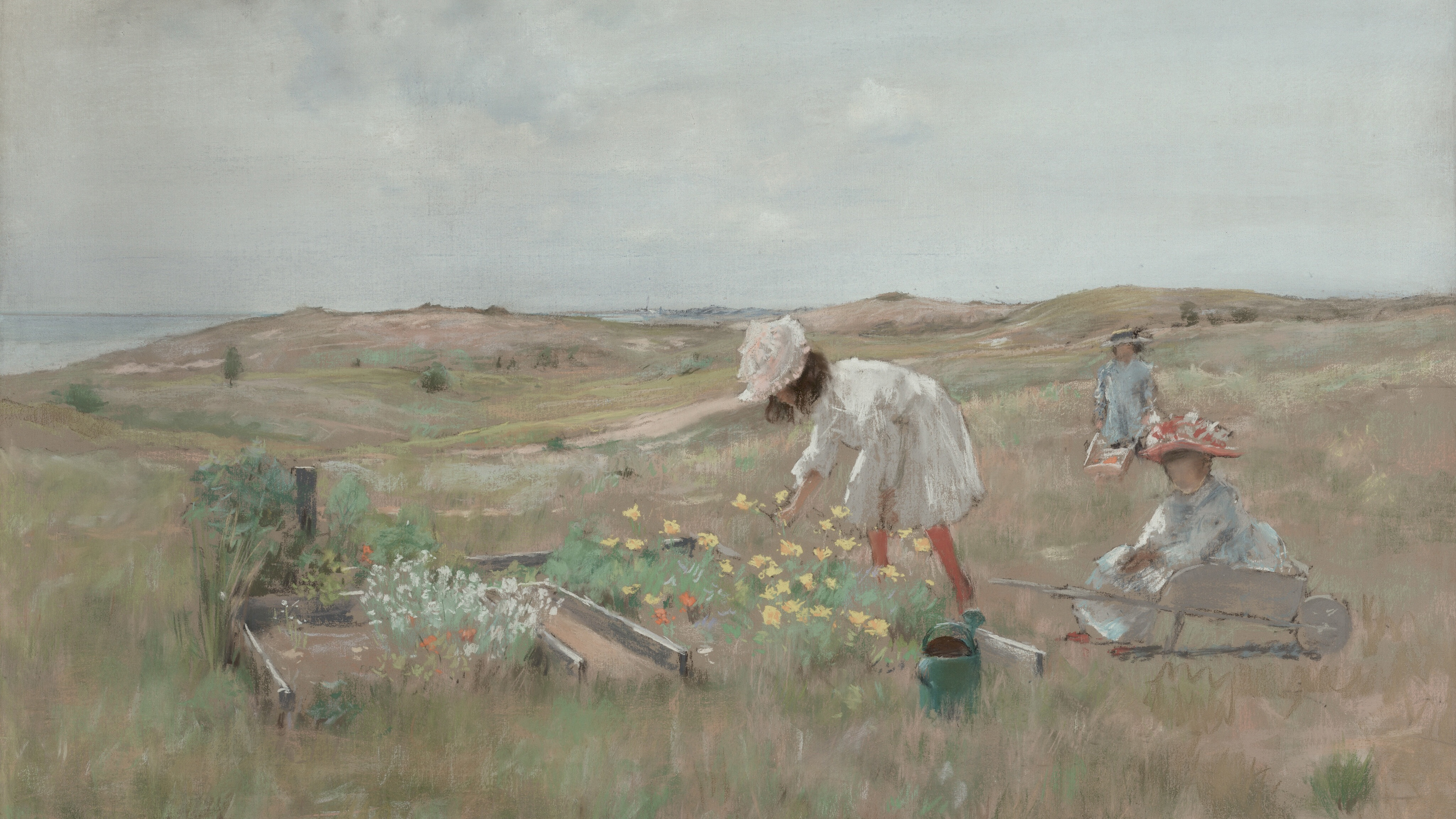 Summer Dune Flora