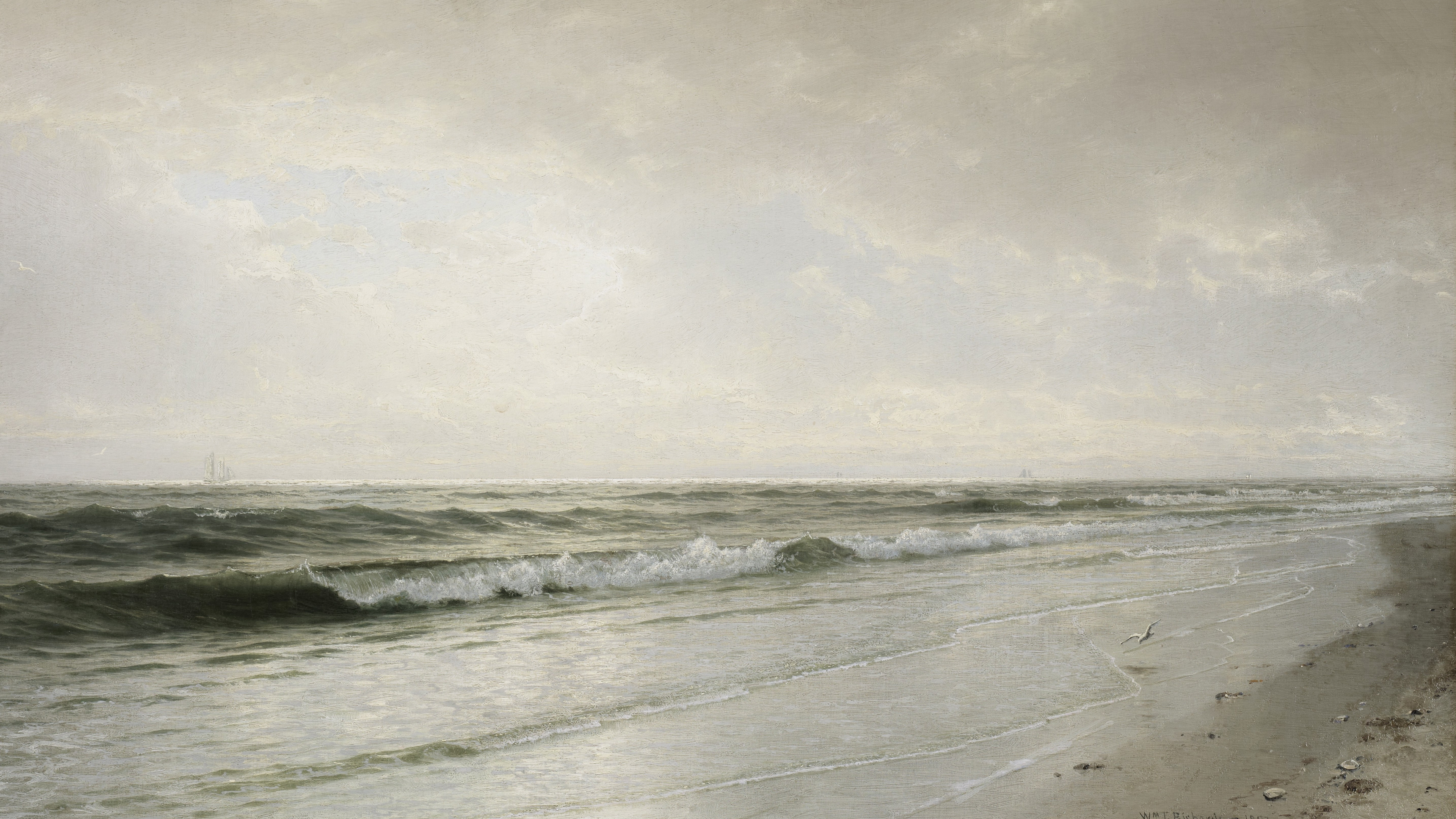 Overcast Coastal Tide