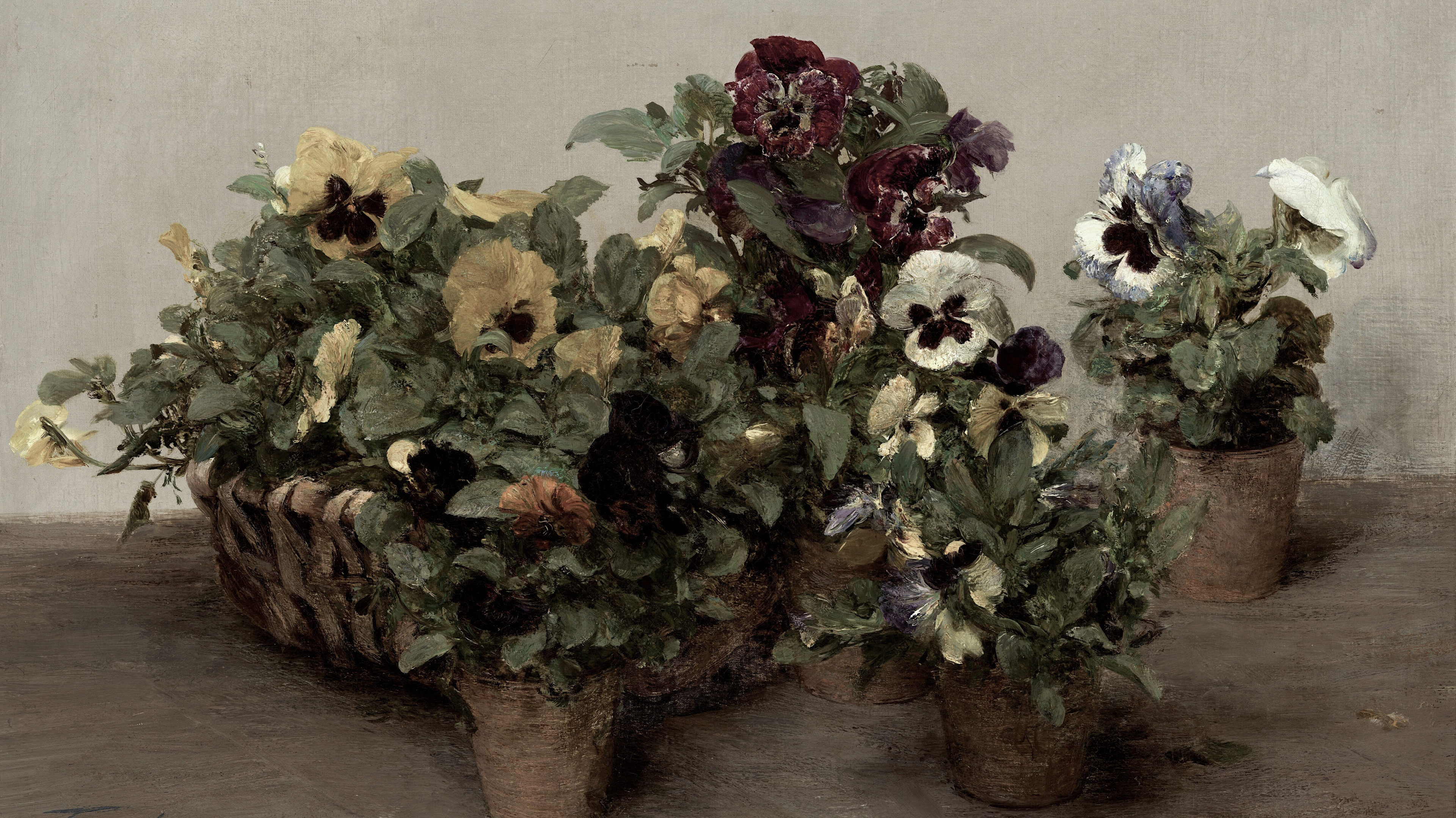 Shadowed Garden Pansies
