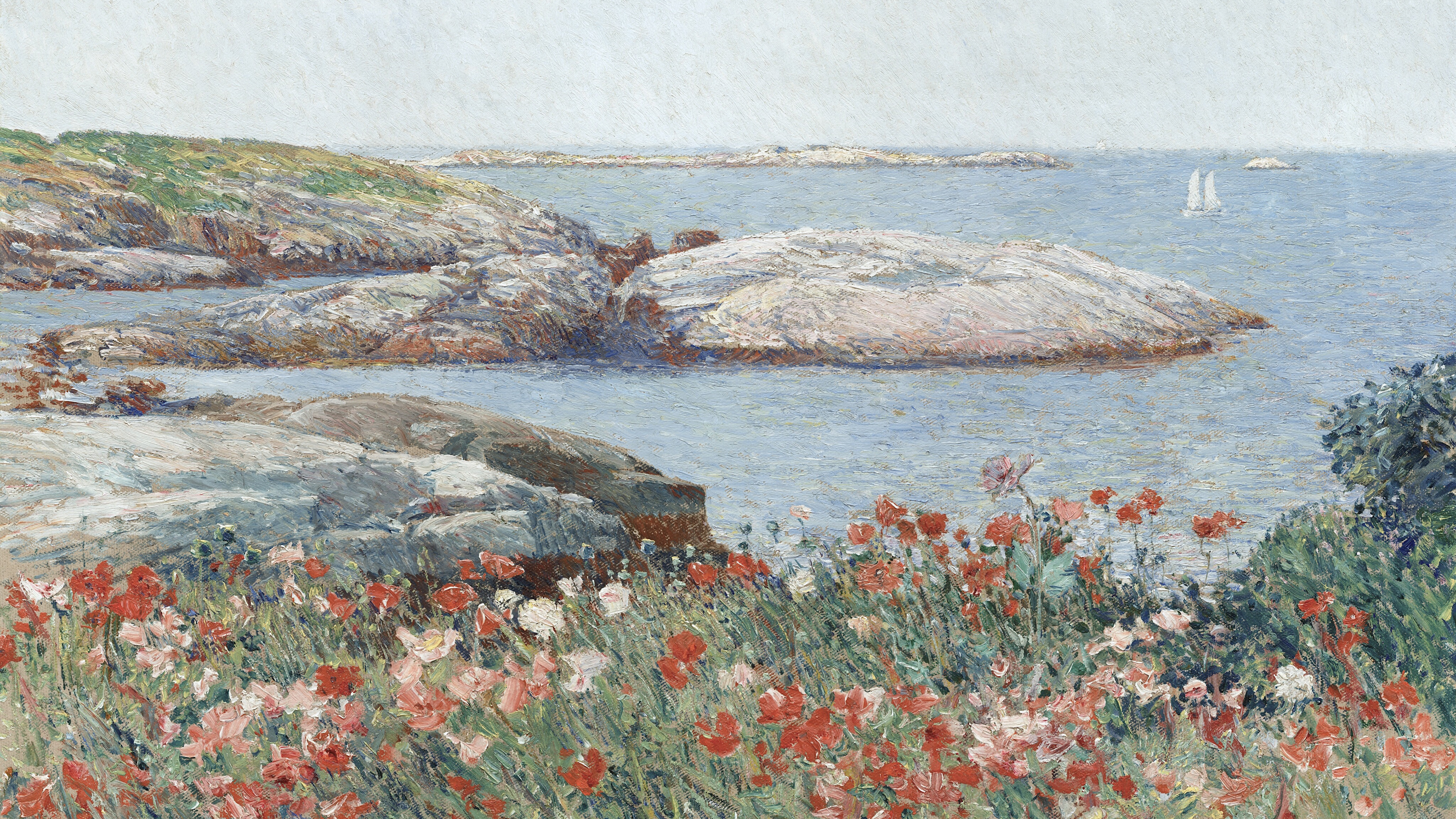 Coastal Poppy Horizon