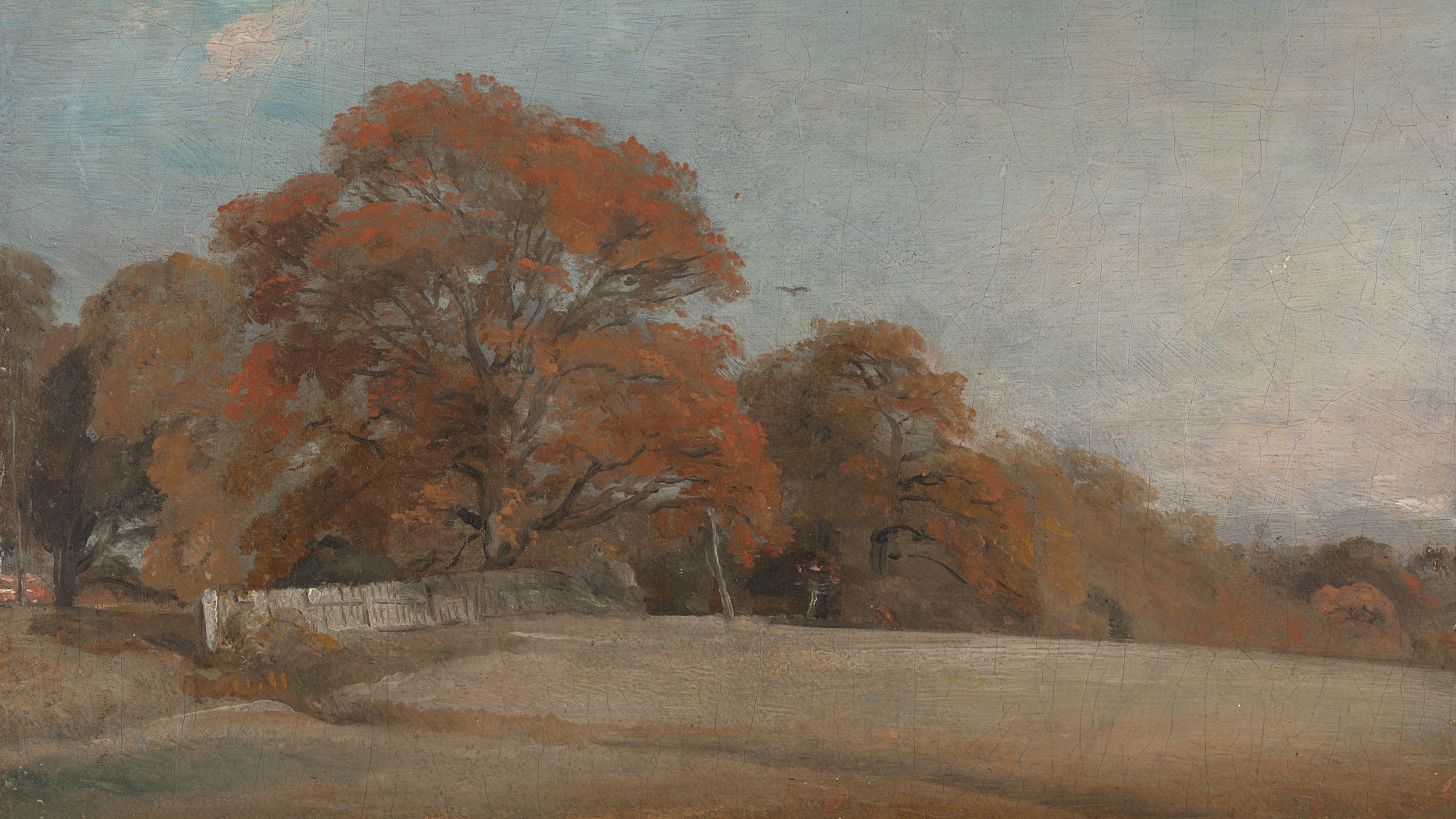 Studio preview of Autumn Boundary Wood