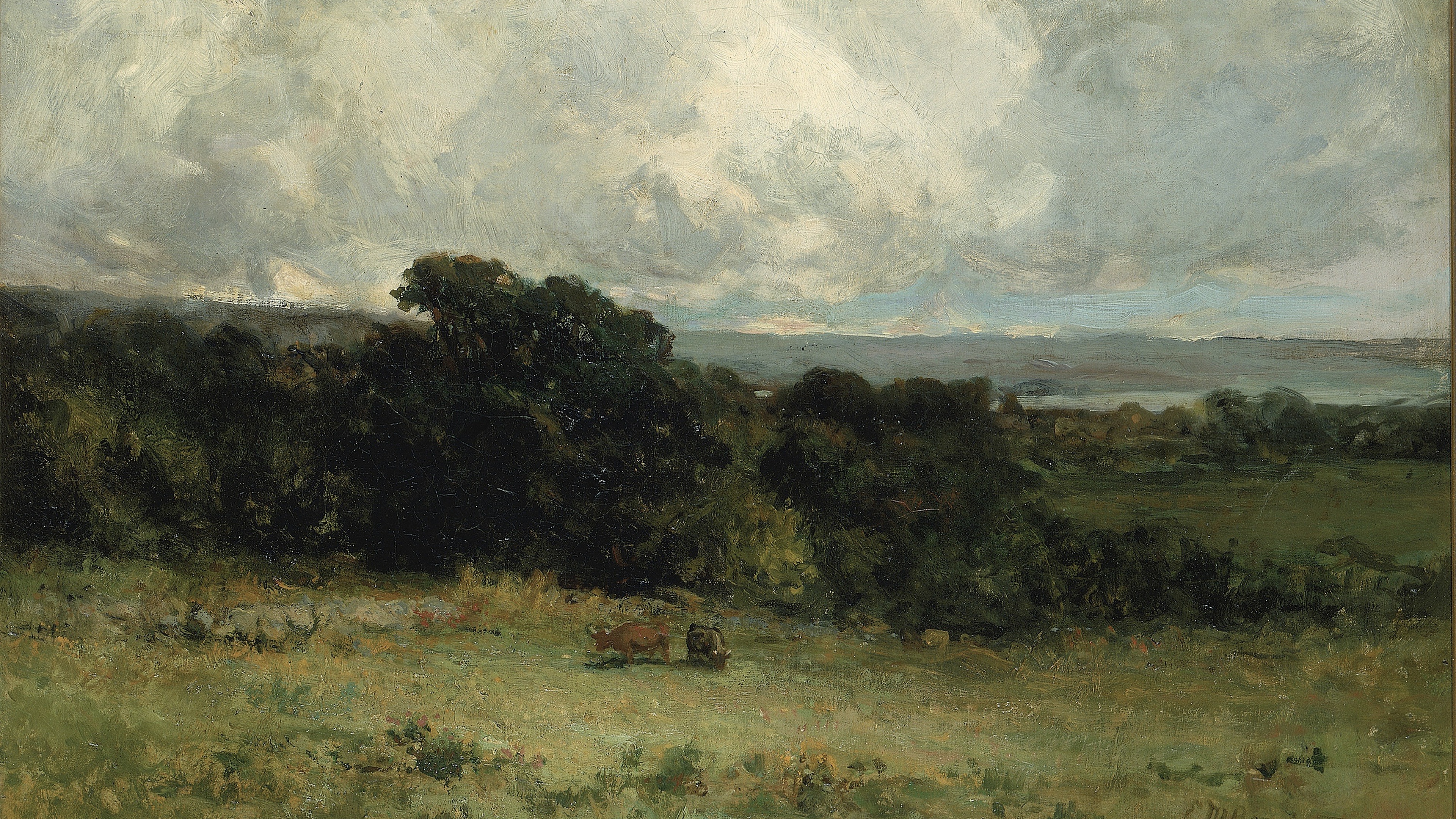 Clouded Pastoral Horizon