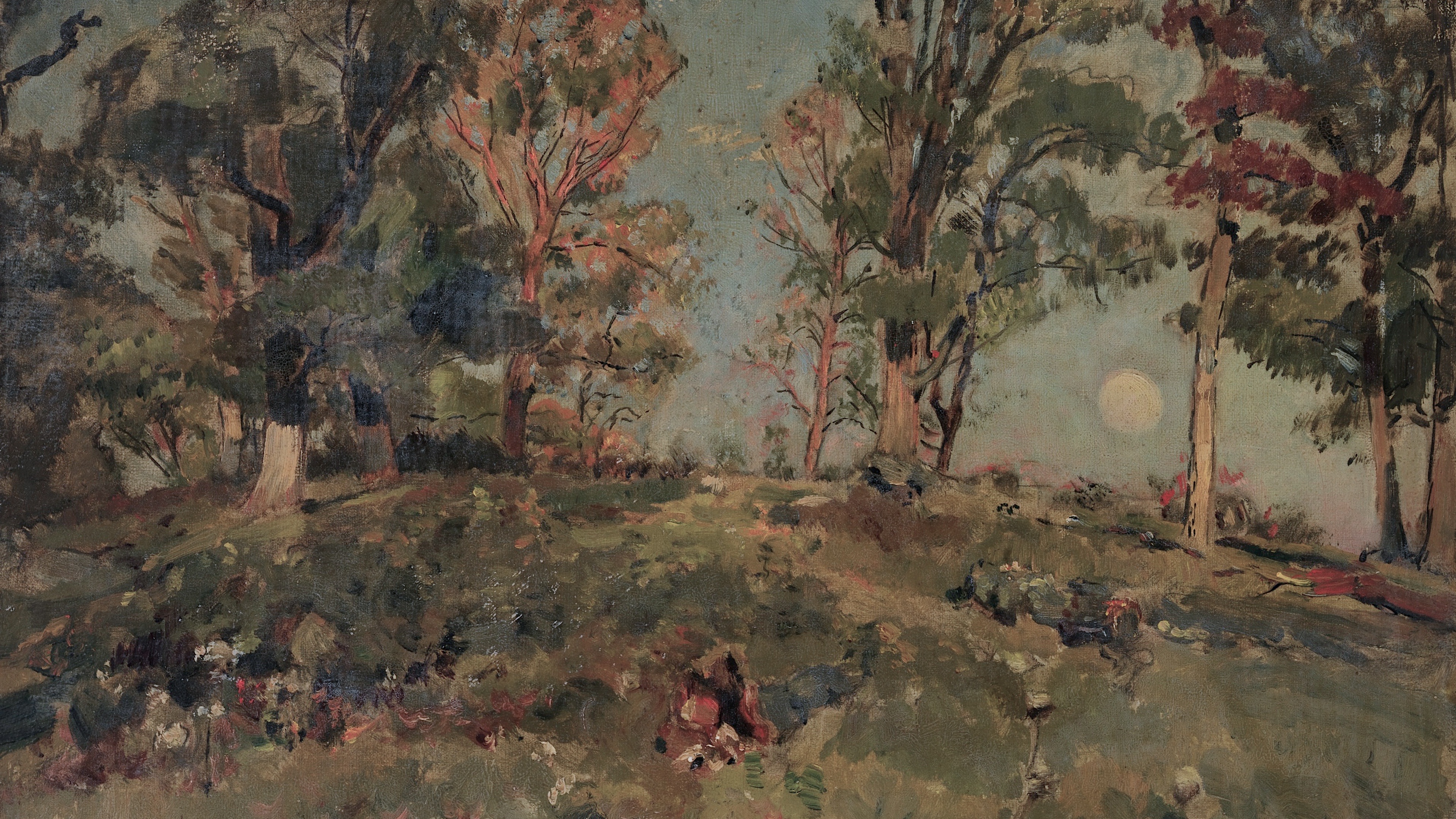 Dusk Over The Clearing