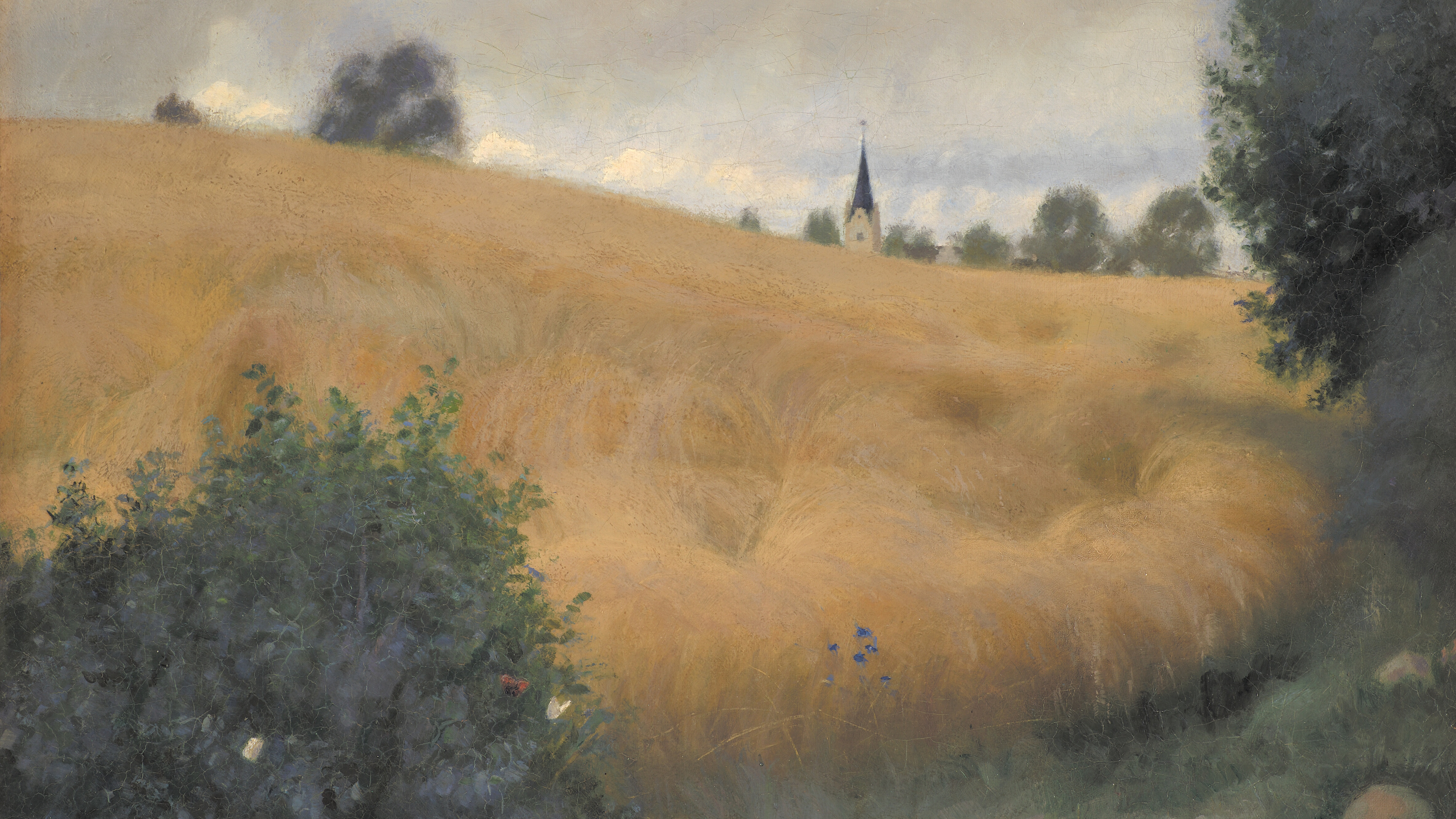 Golden Field Solitude