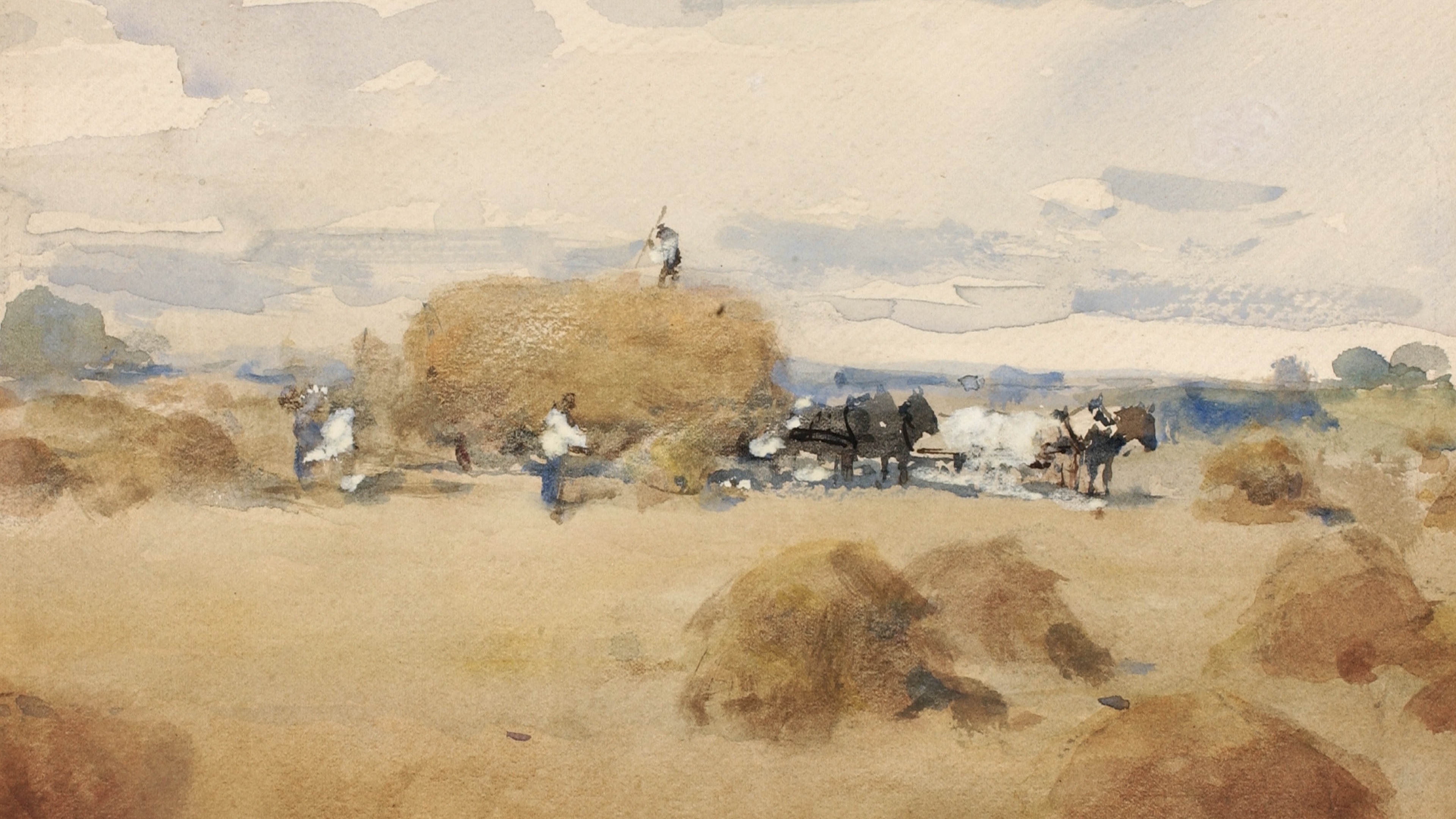 Golden Harvest Field