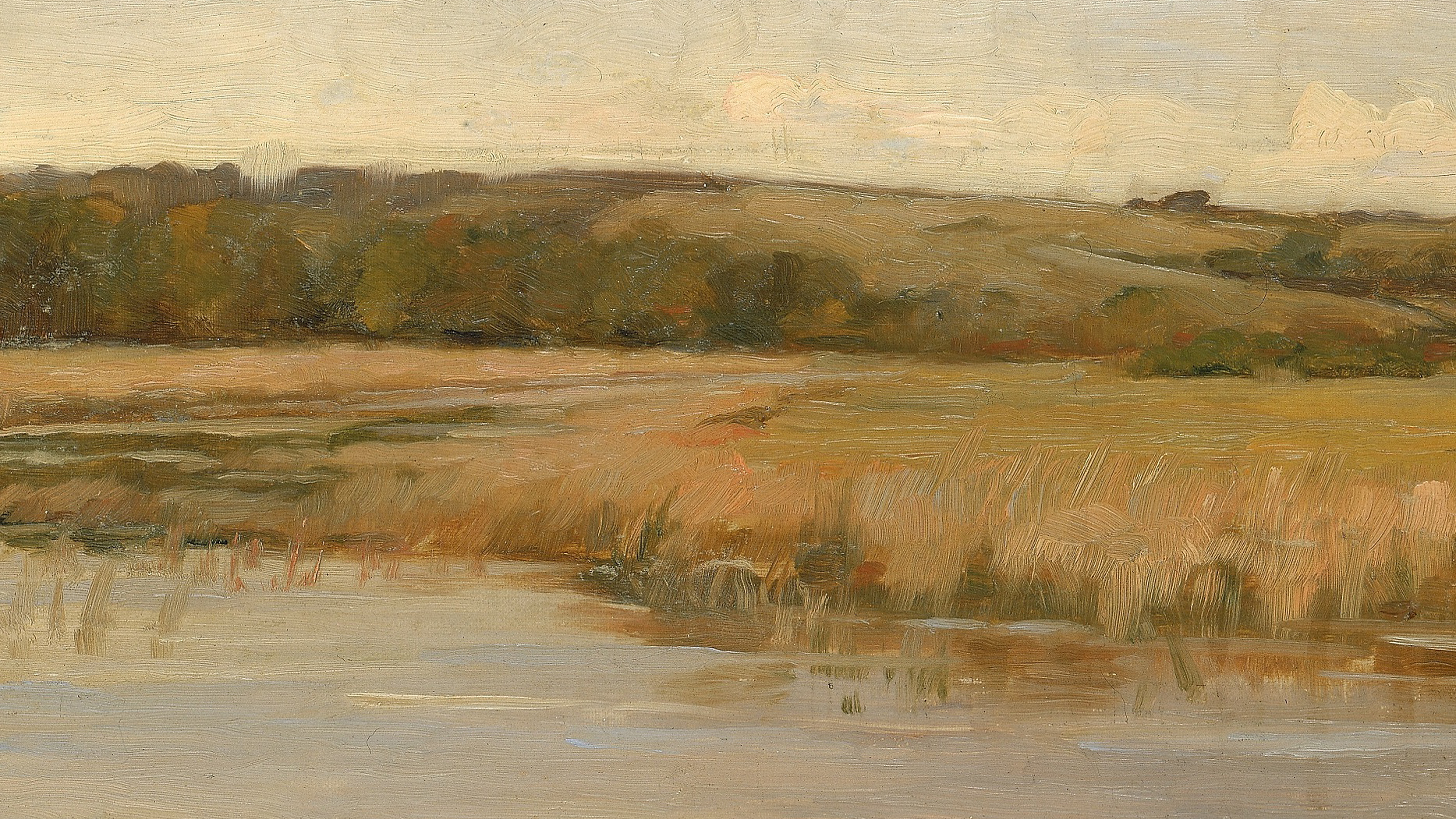 Golden Marshland Horizon