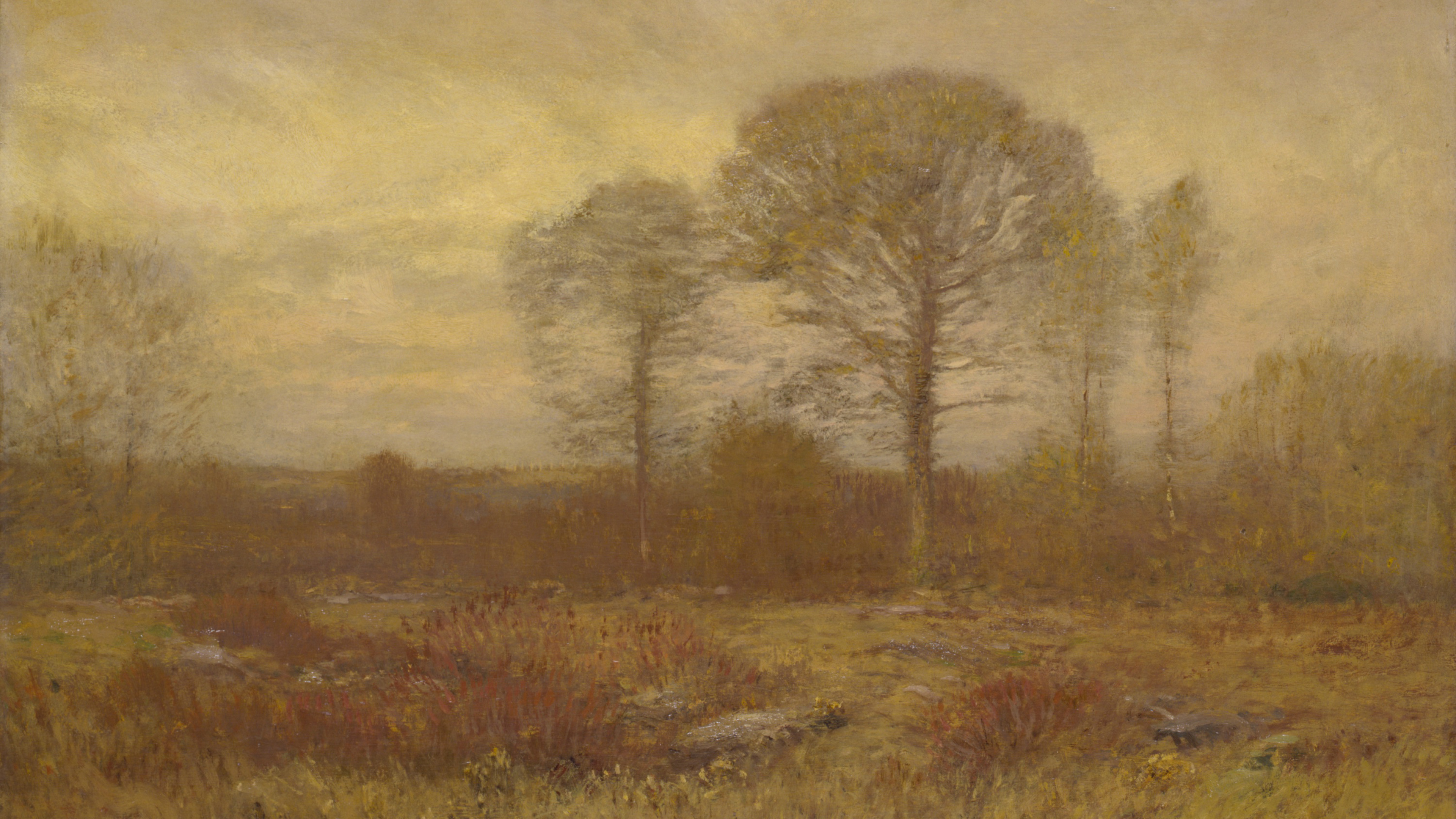 Golden Moor Mist