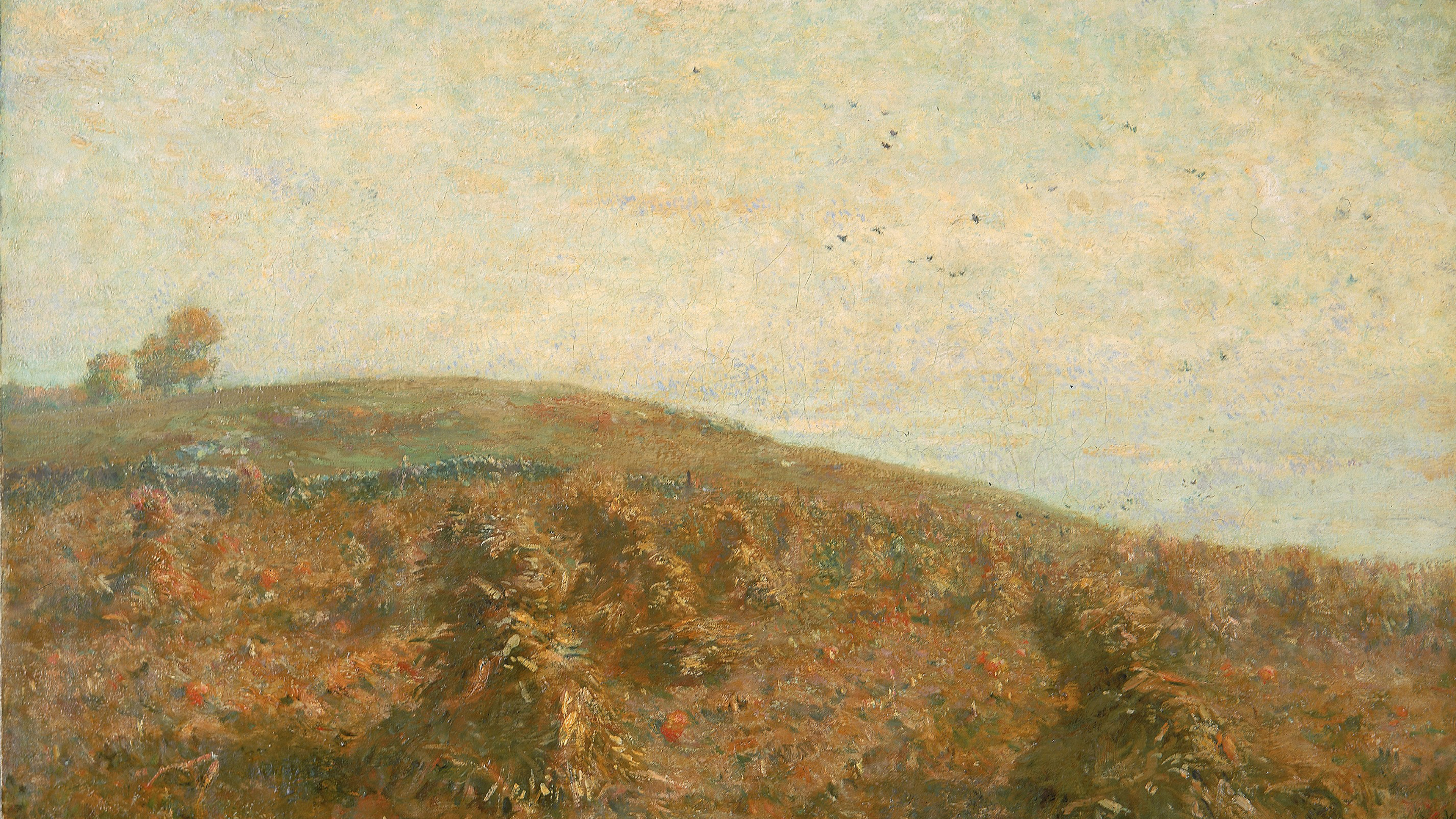 Golden Ridge Haze