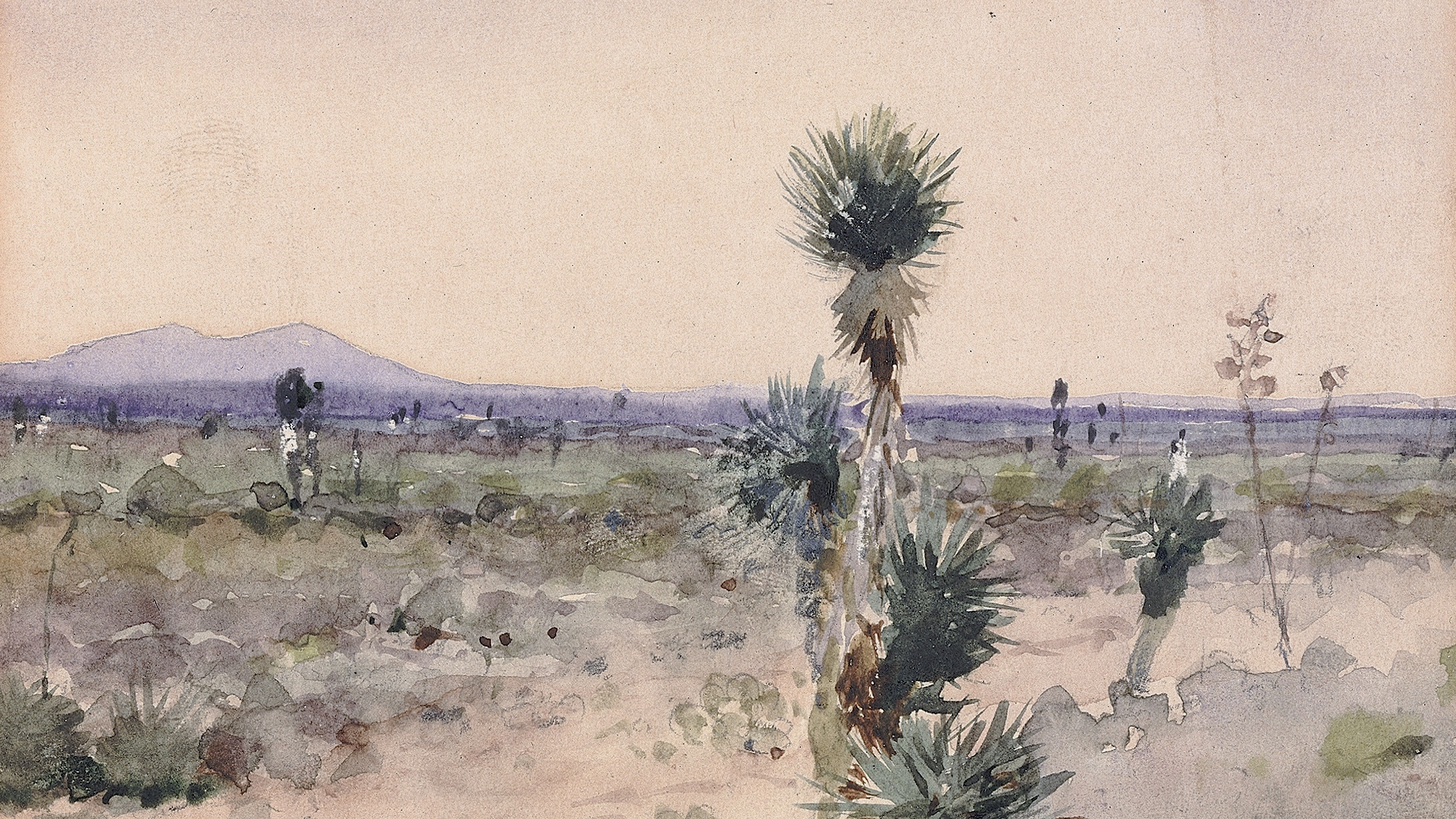 High Desert Horizon
