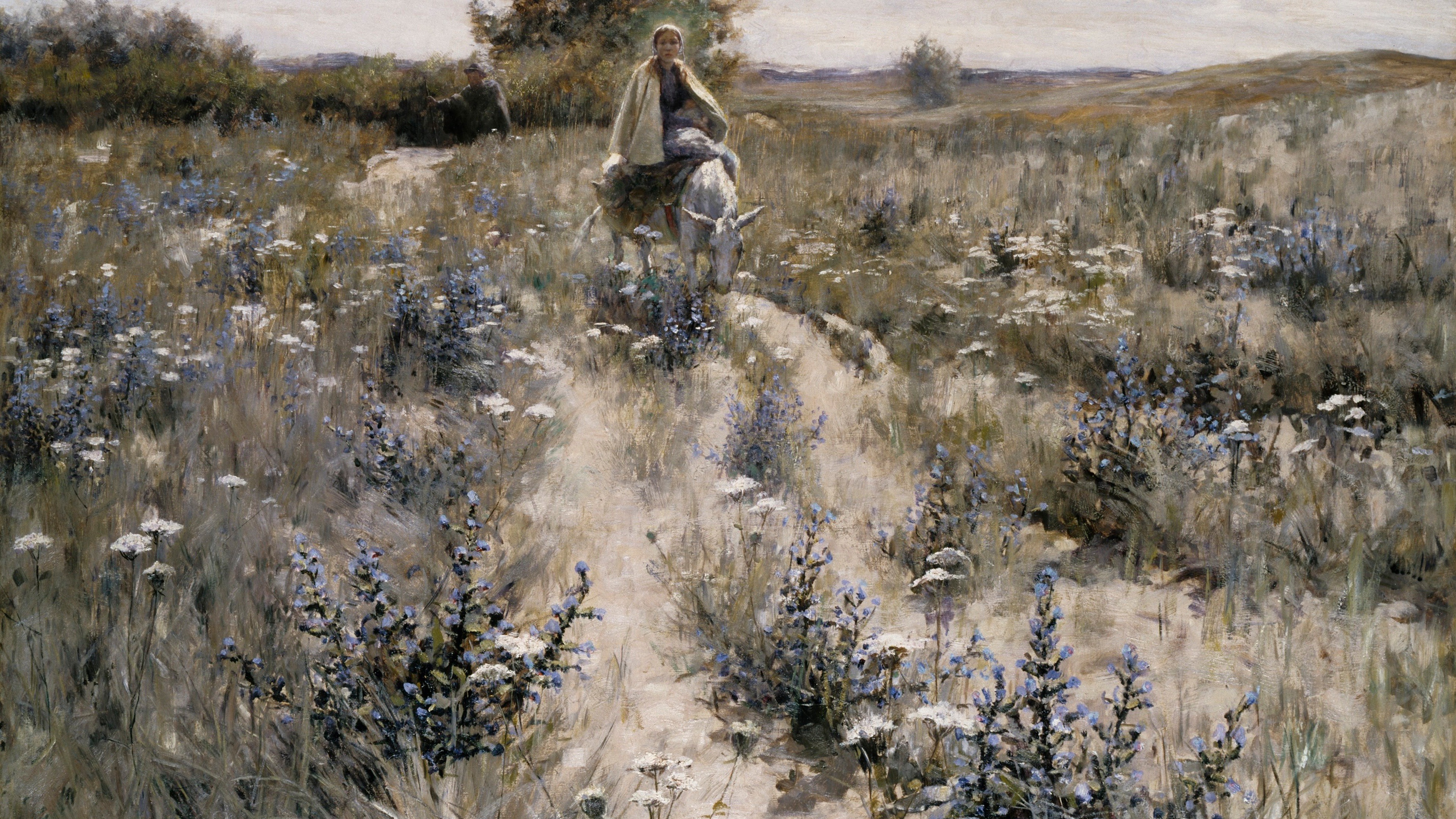 Journey Through Chicory