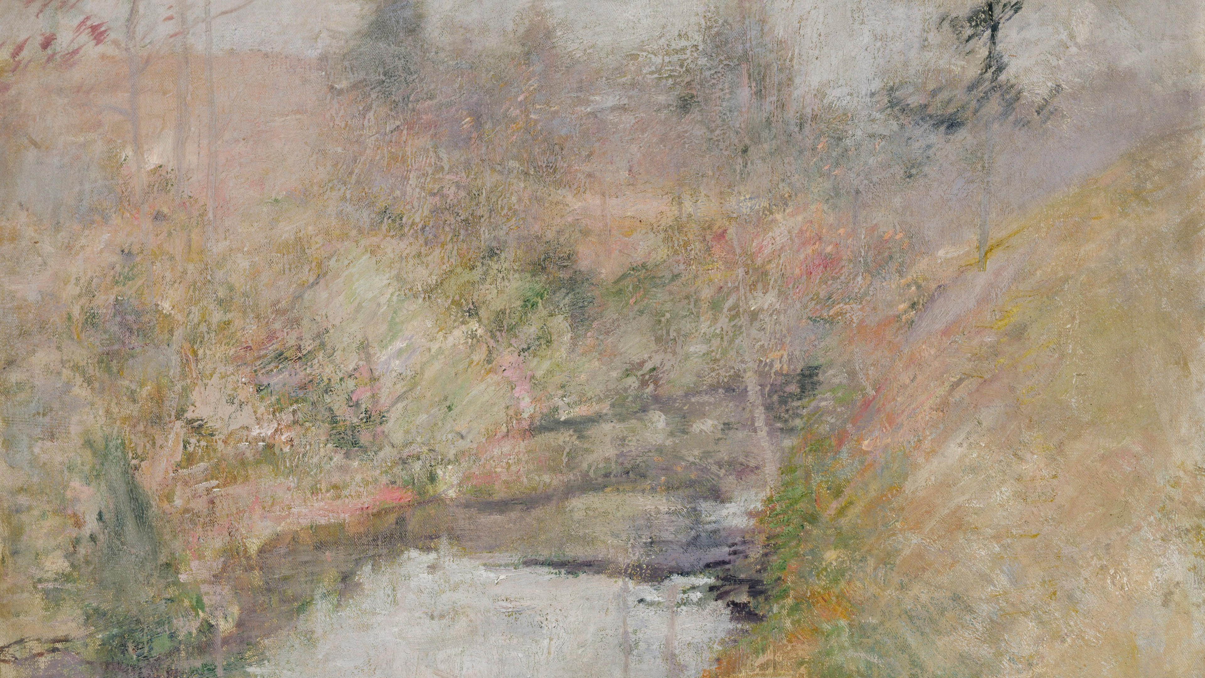 Misty Creek Hollow