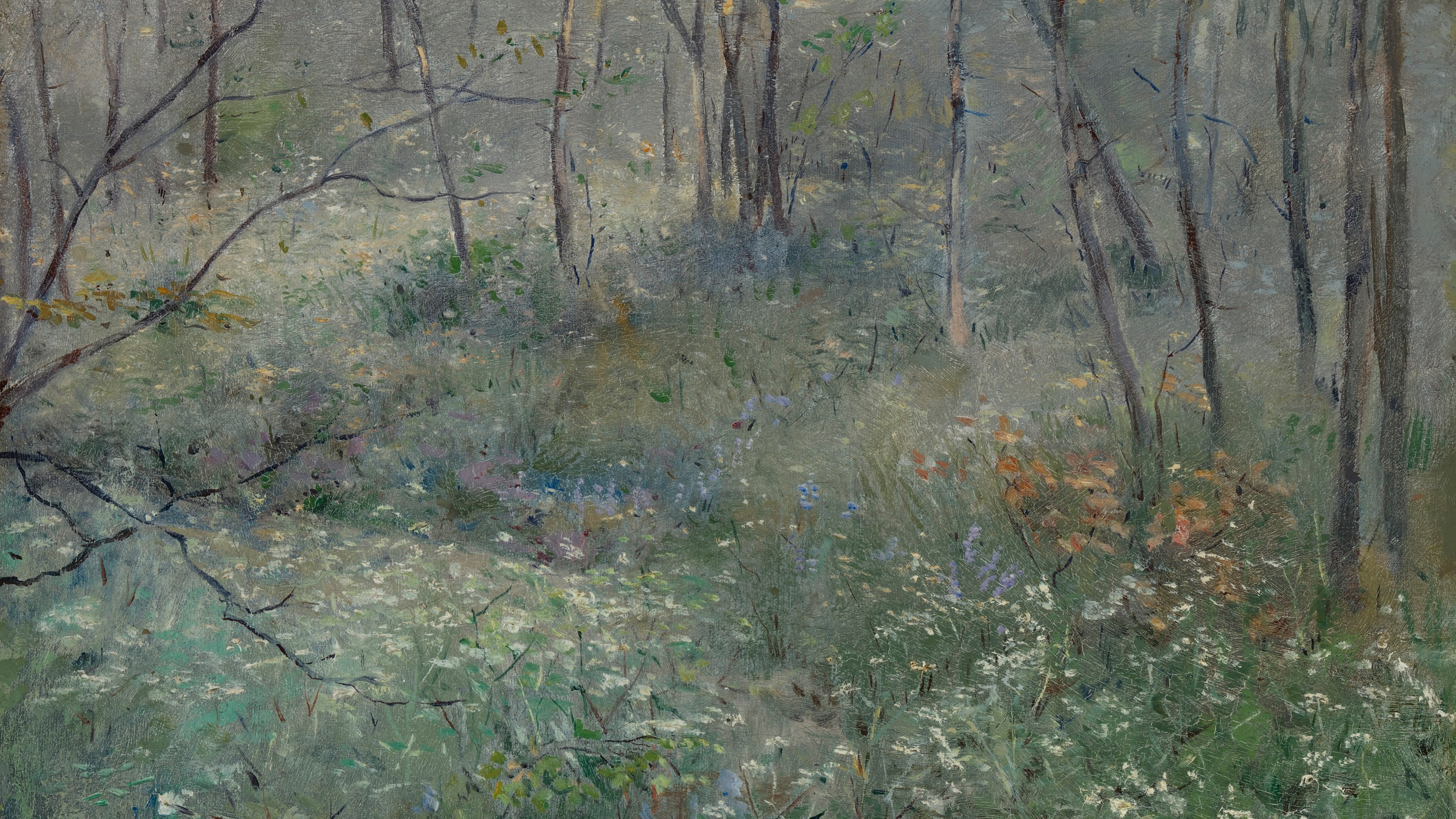 Misty Forest Clearing