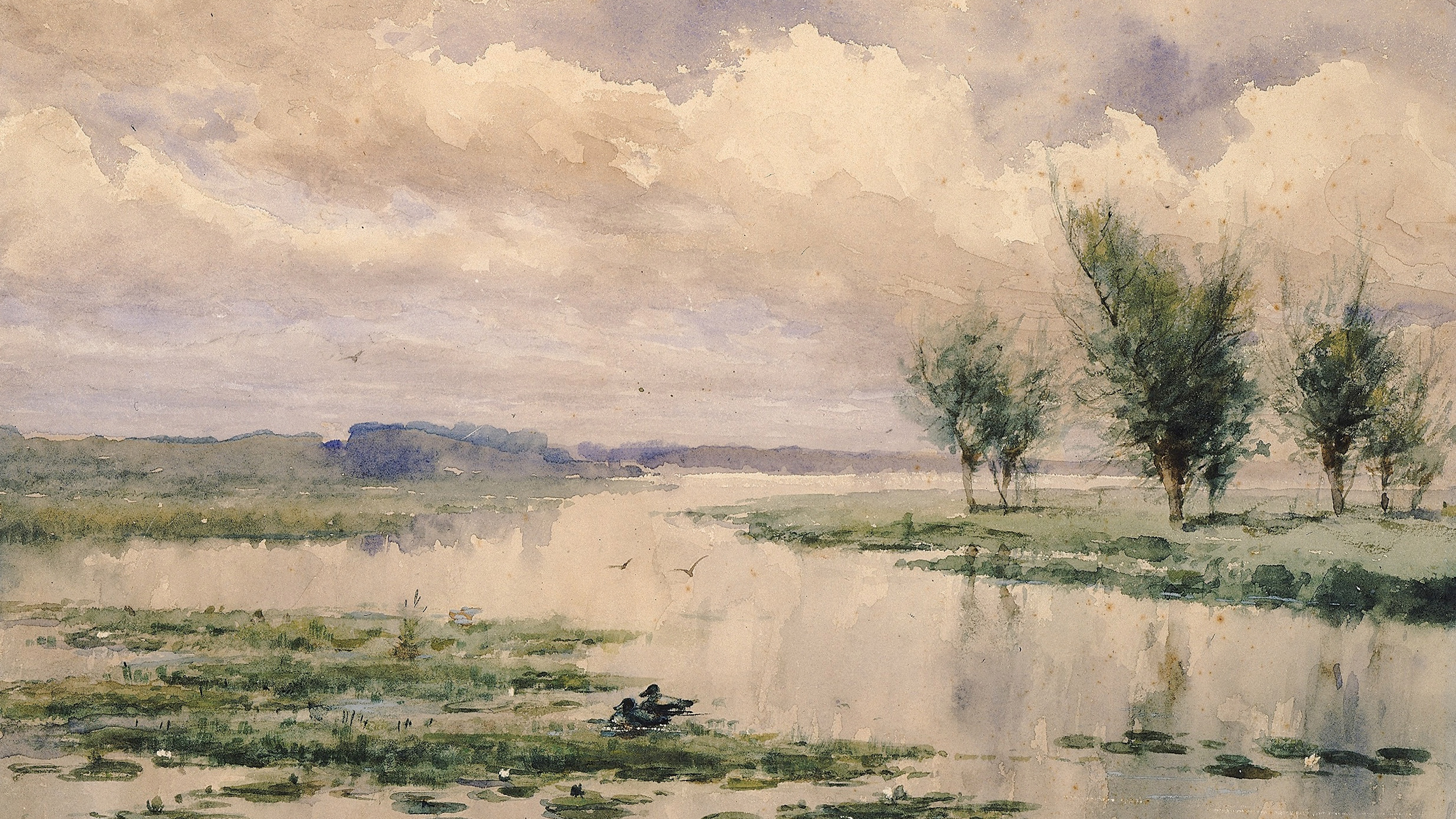 Misty River Marsh