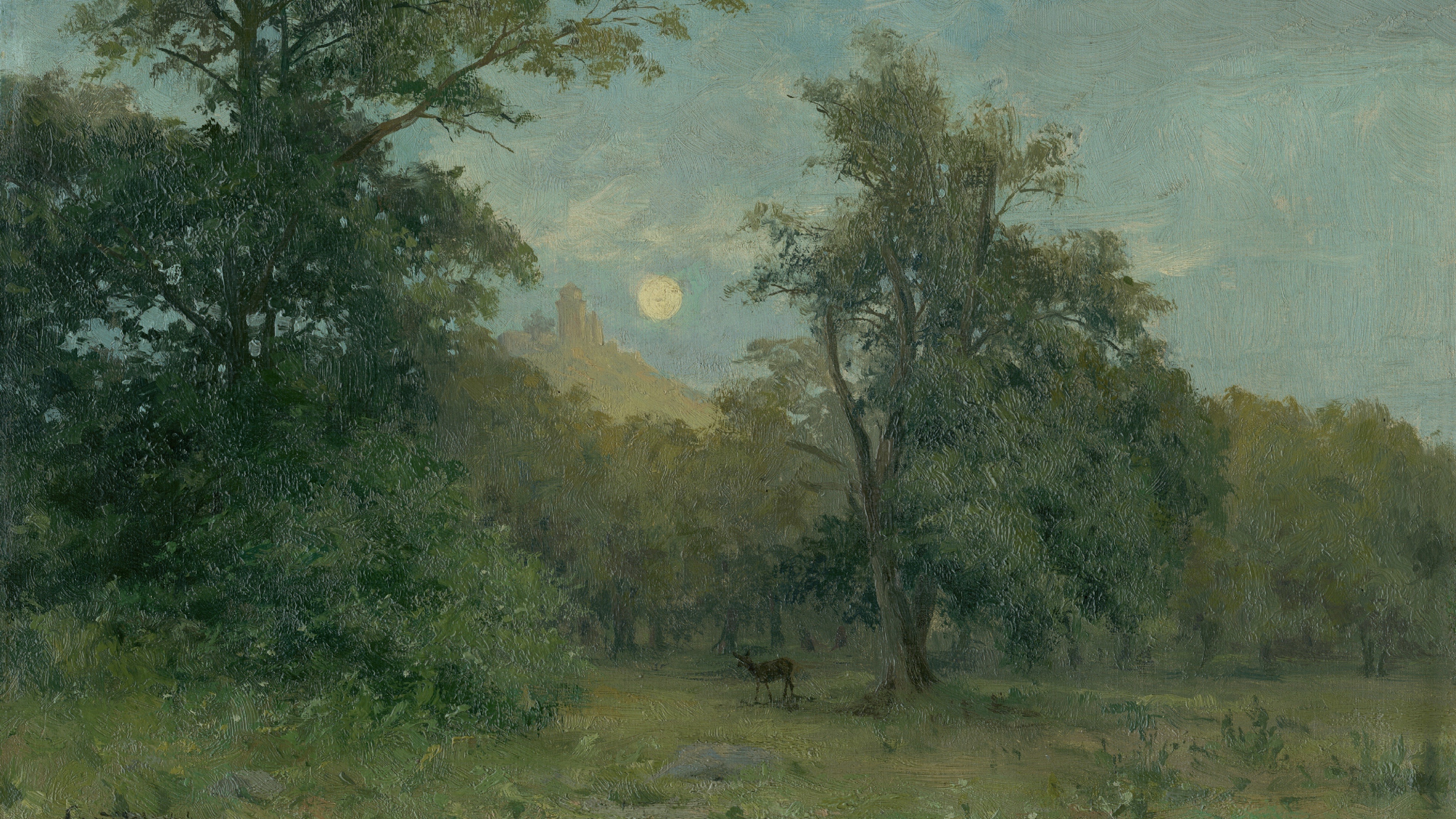 Moonlit Sylvan Glade