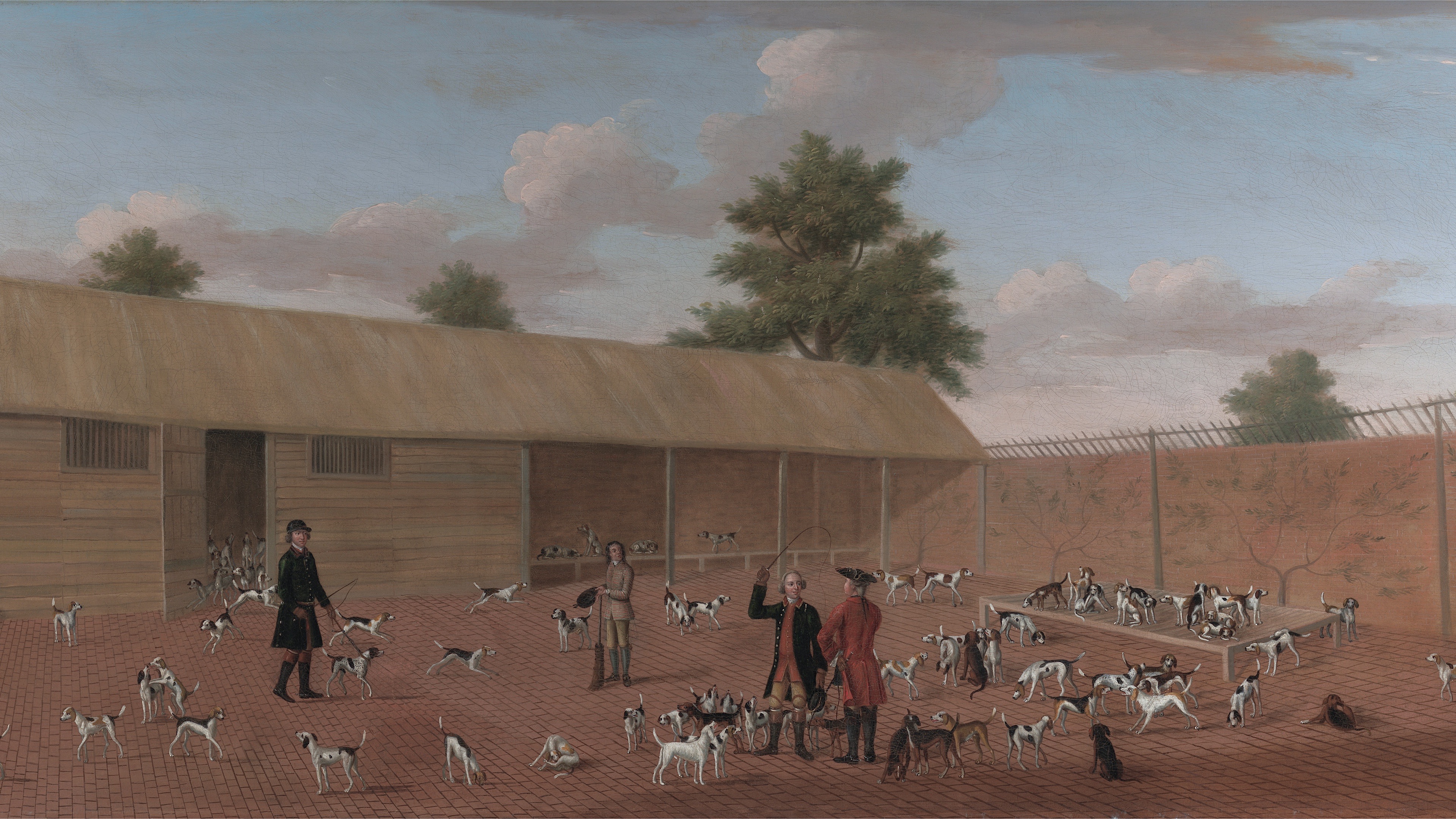Morning at the Kennels