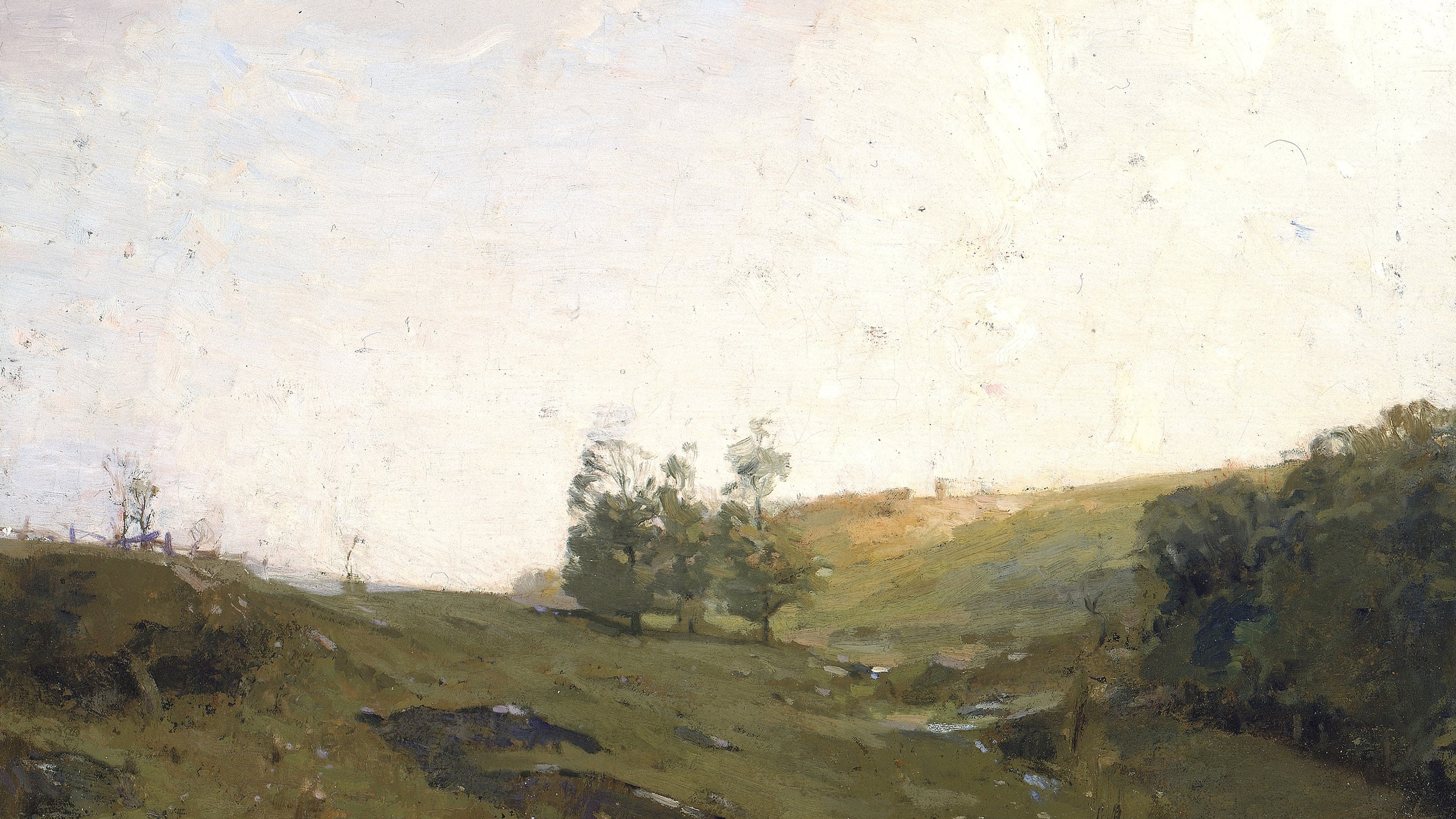 Overcast Hillside