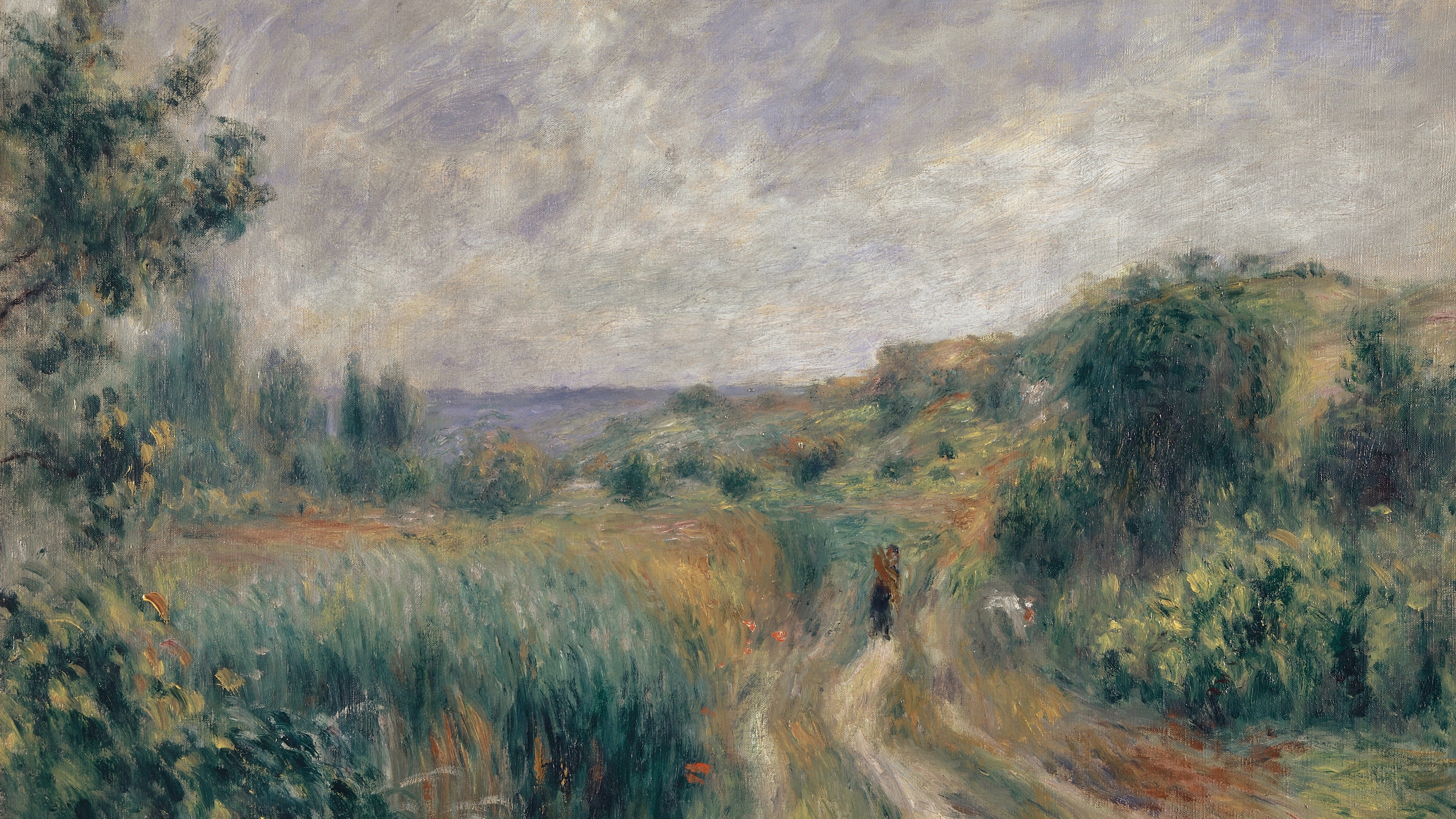 Overcast Valley Path
