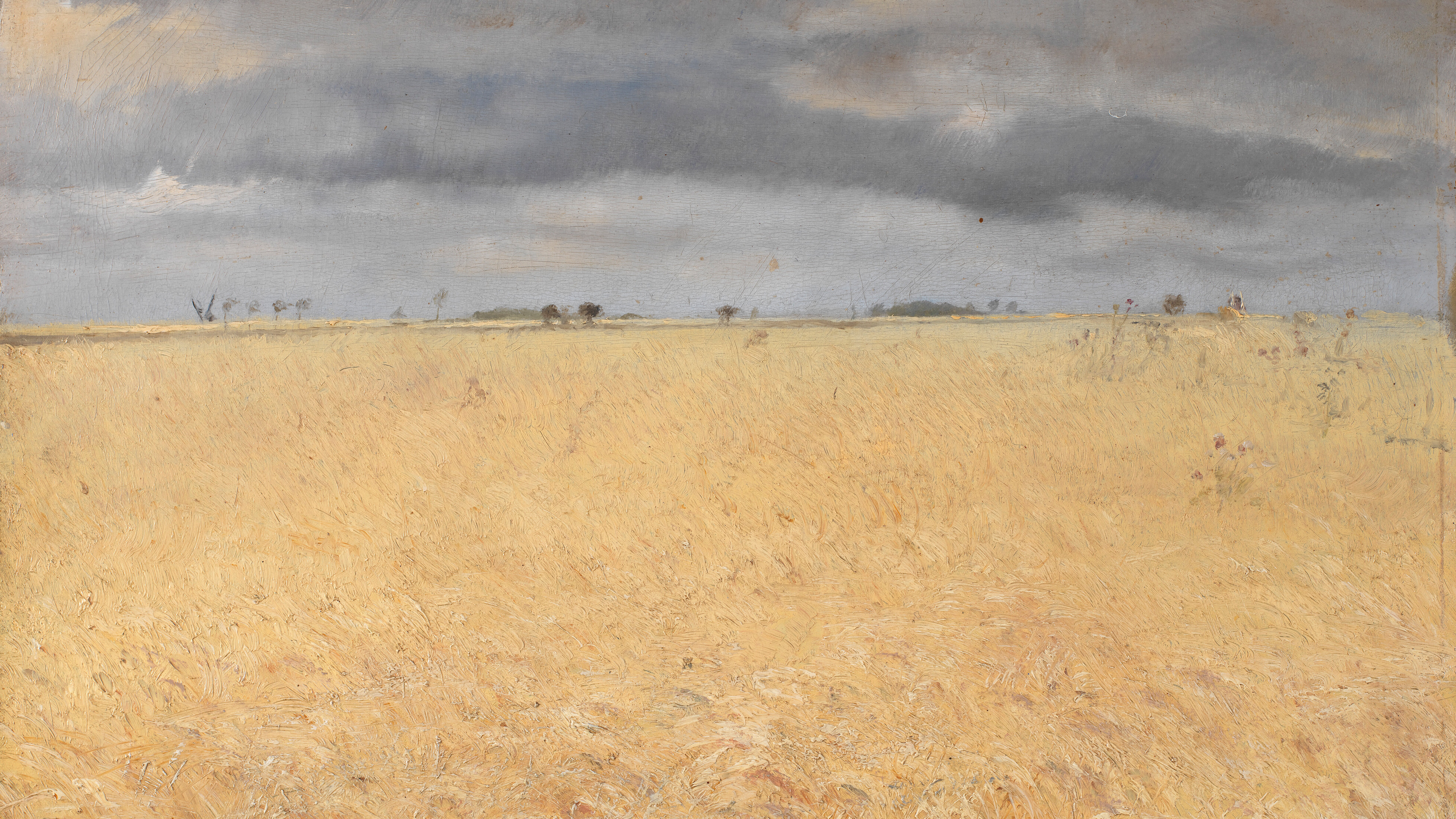 Overcast Wheat Plains