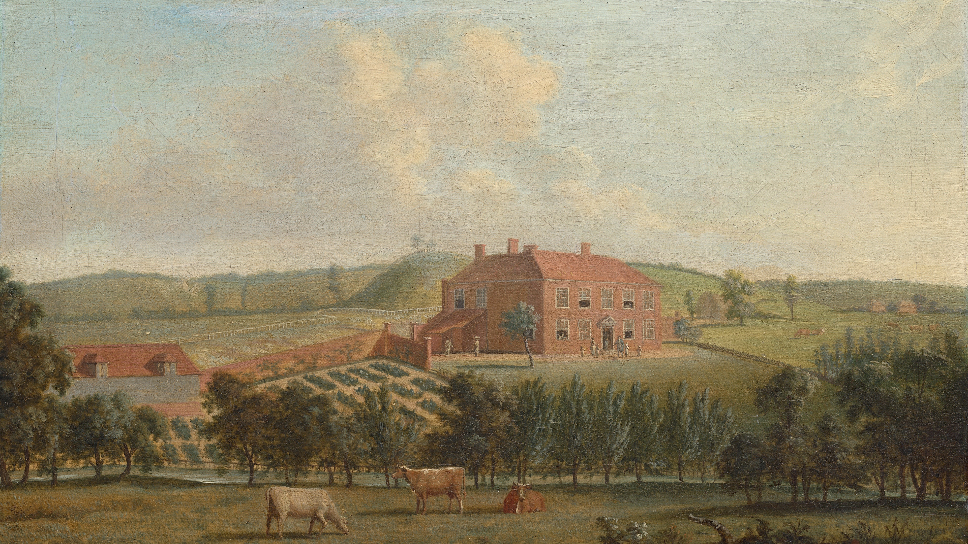 Pastoral Estate View