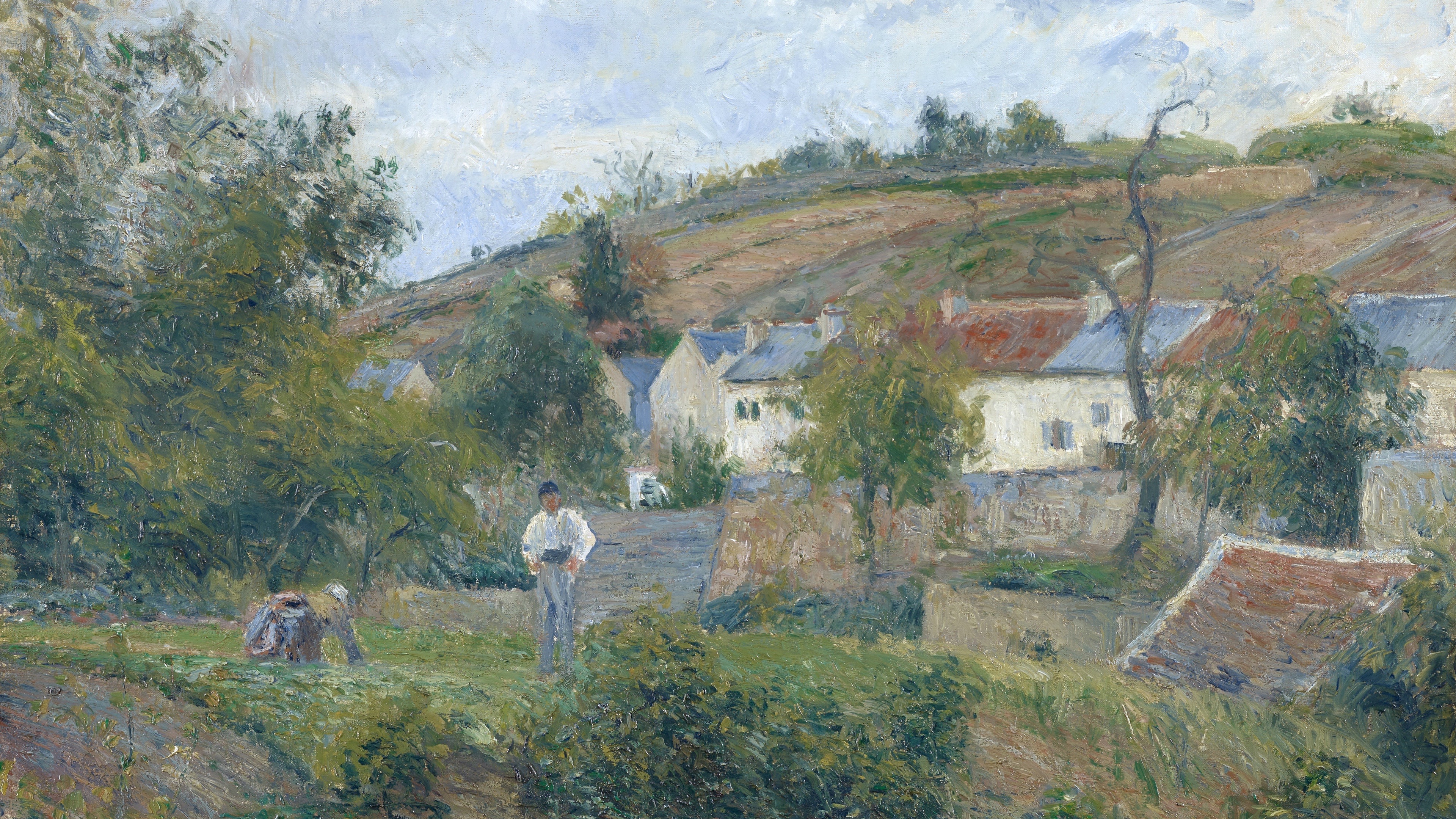 Provincial Summer Slope