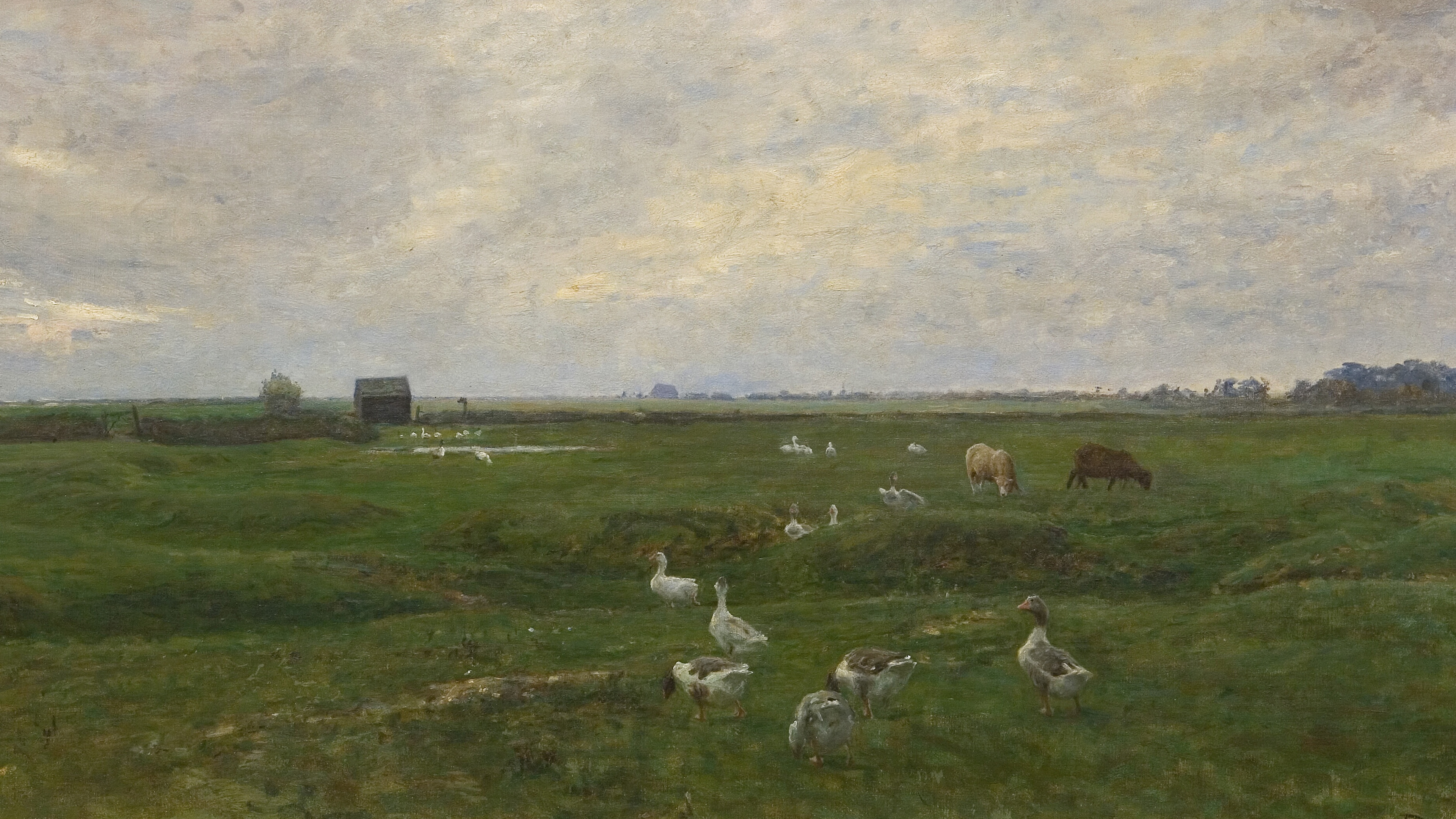 Quiet Lowland Pasture