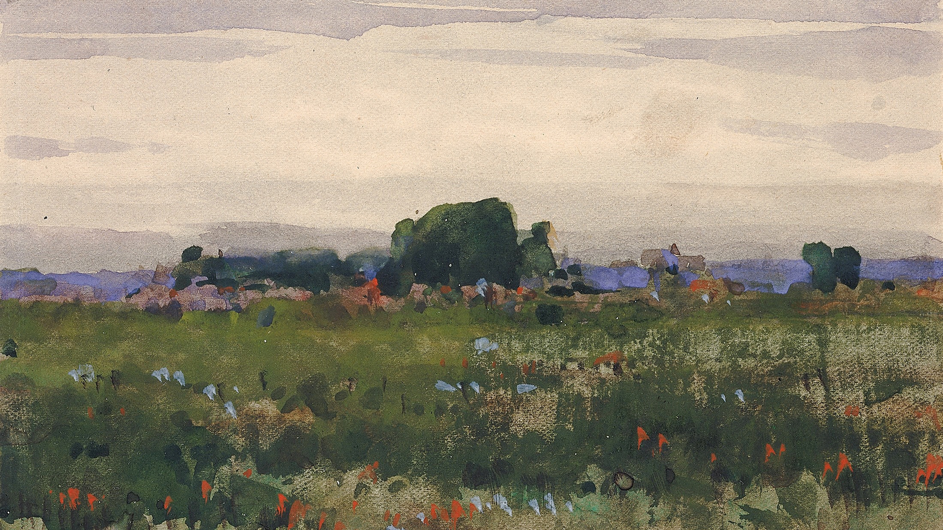Quiet Summer Horizon