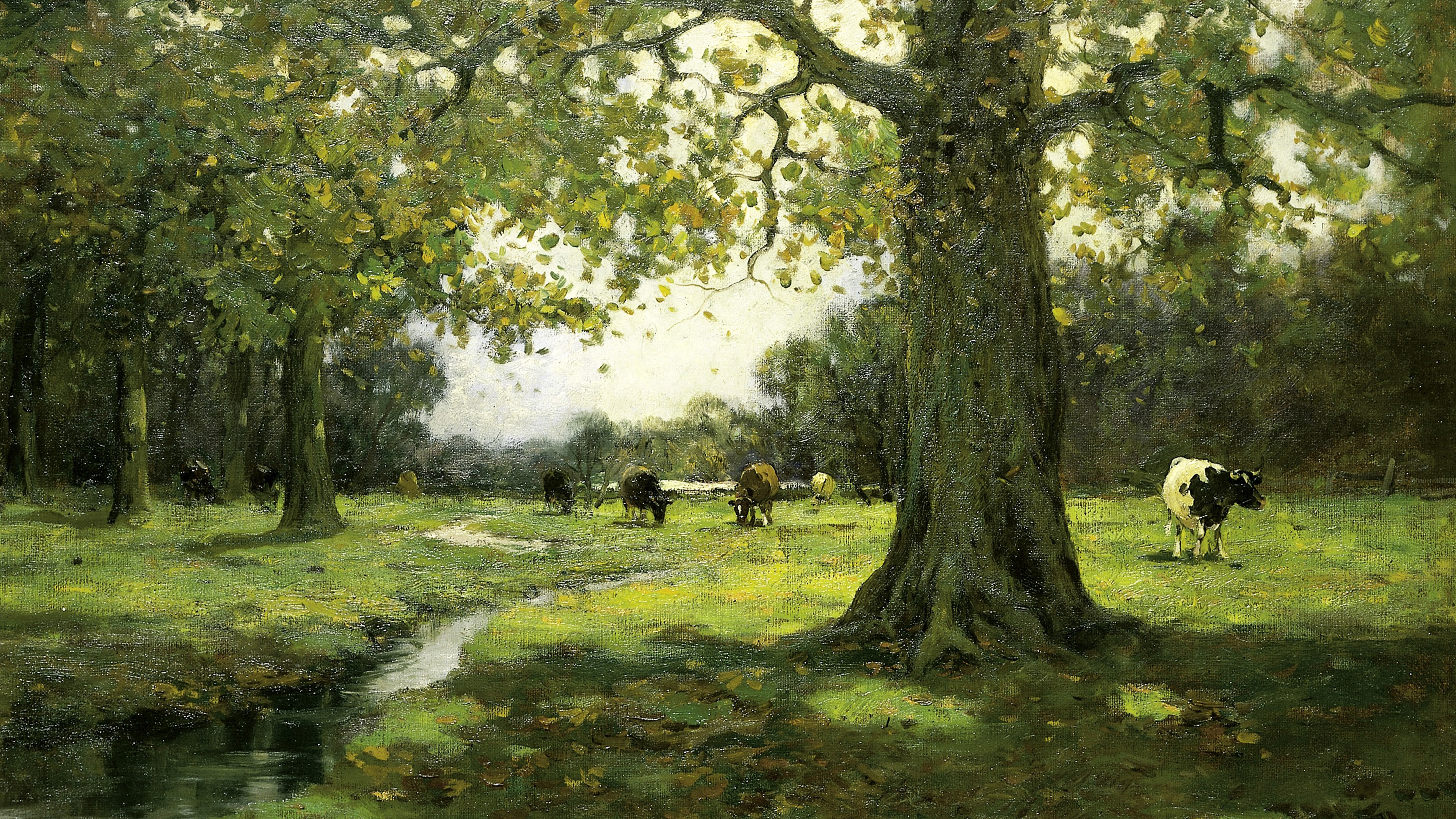 Shaded Pastoral Stream