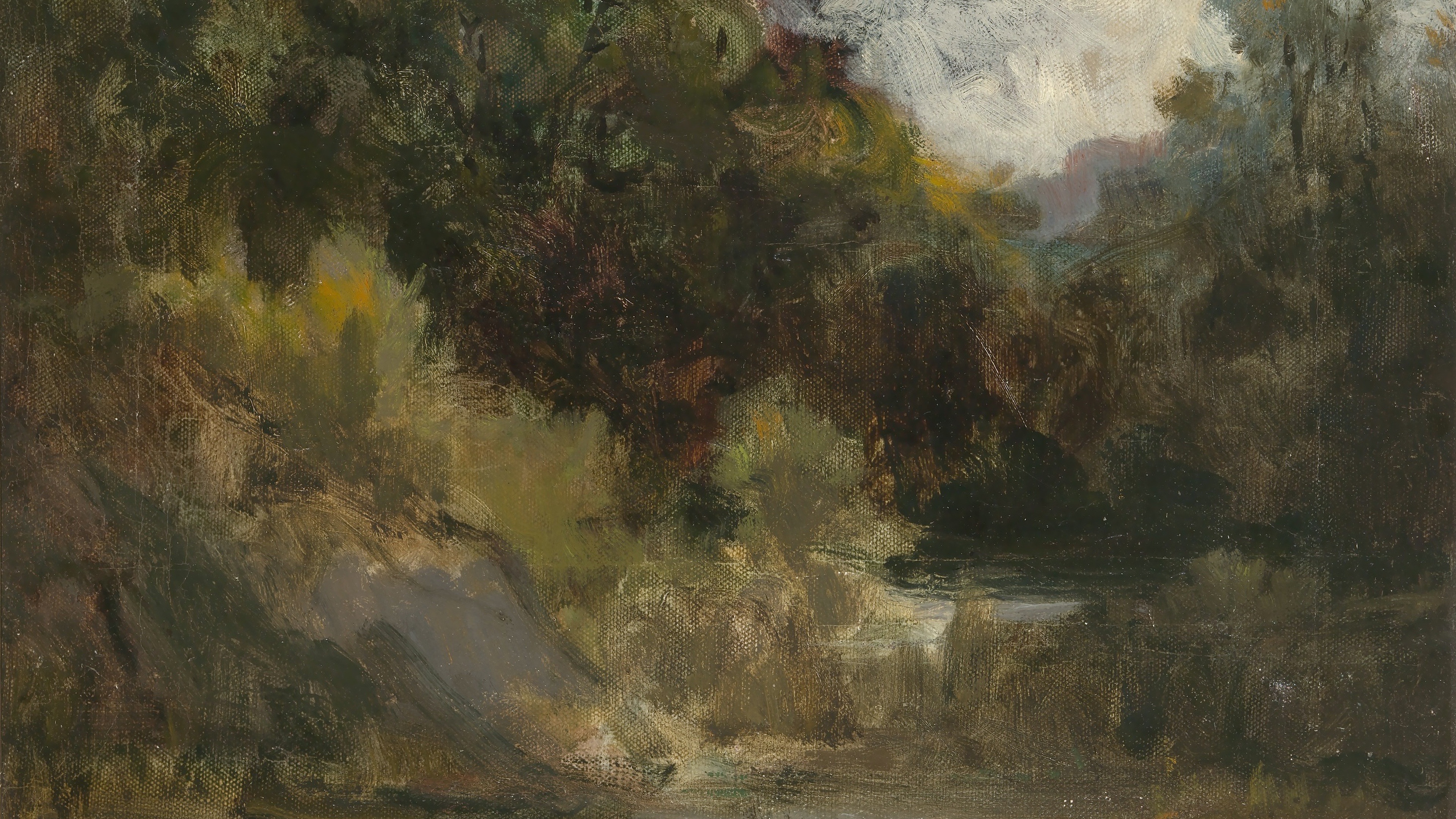 Shadowed Sylvan Hollow